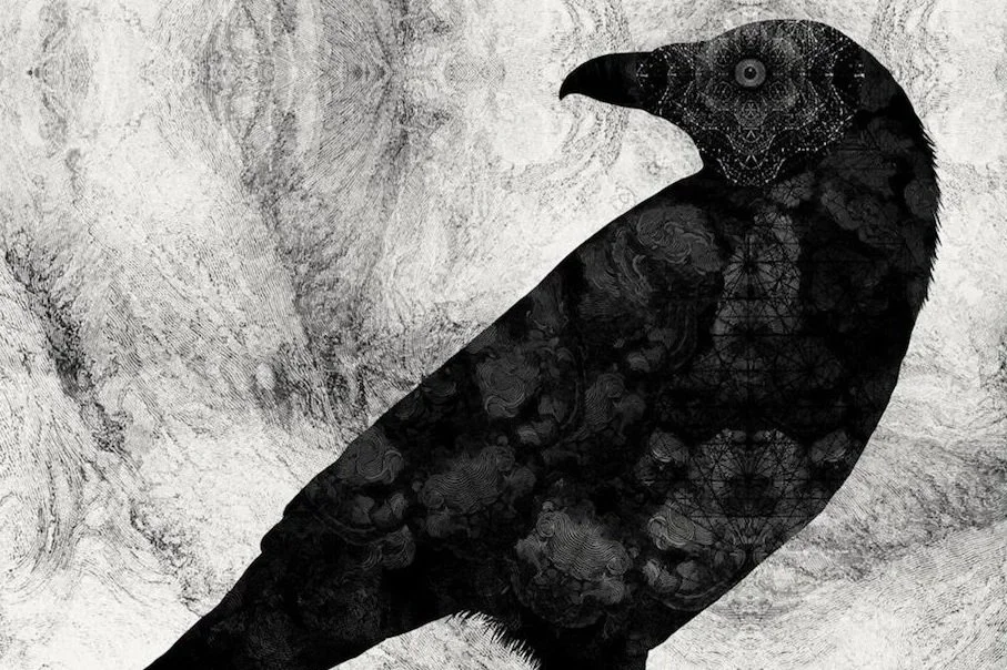 Dan Hillier