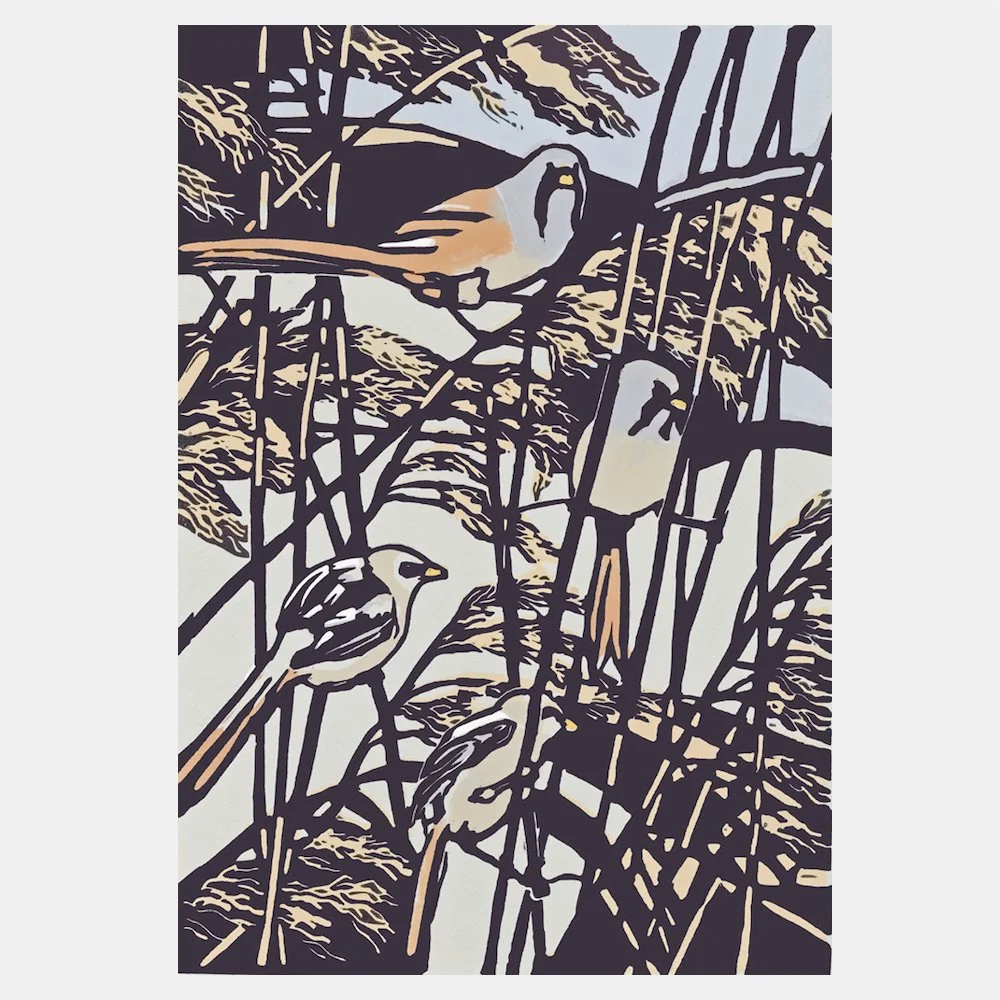 Ping Ping, Ping Ping