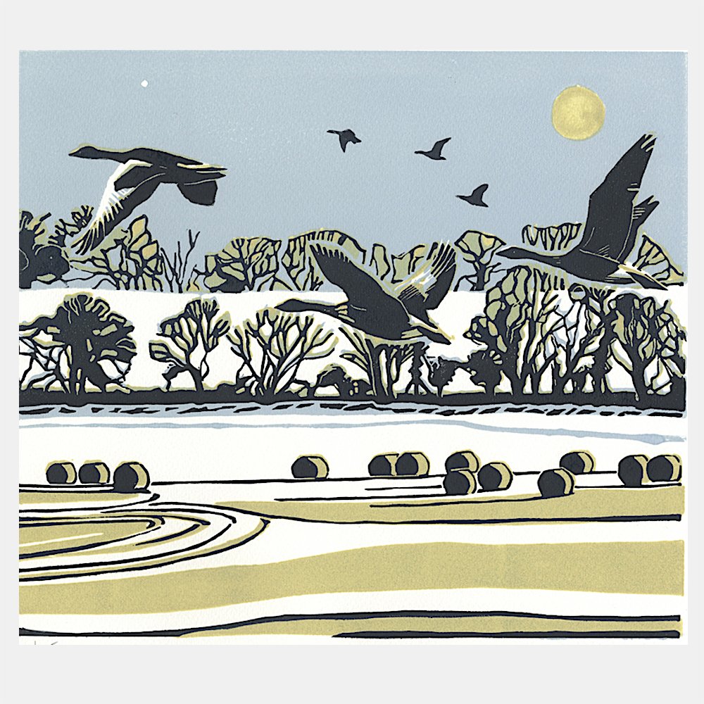 Seedtime and Harvest, Hot and Cold