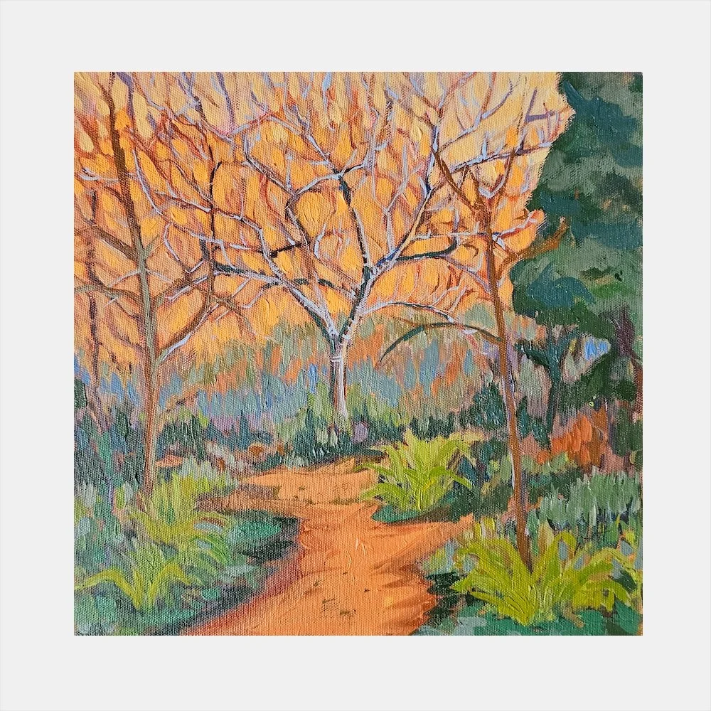 Tree and Sunset in Winter