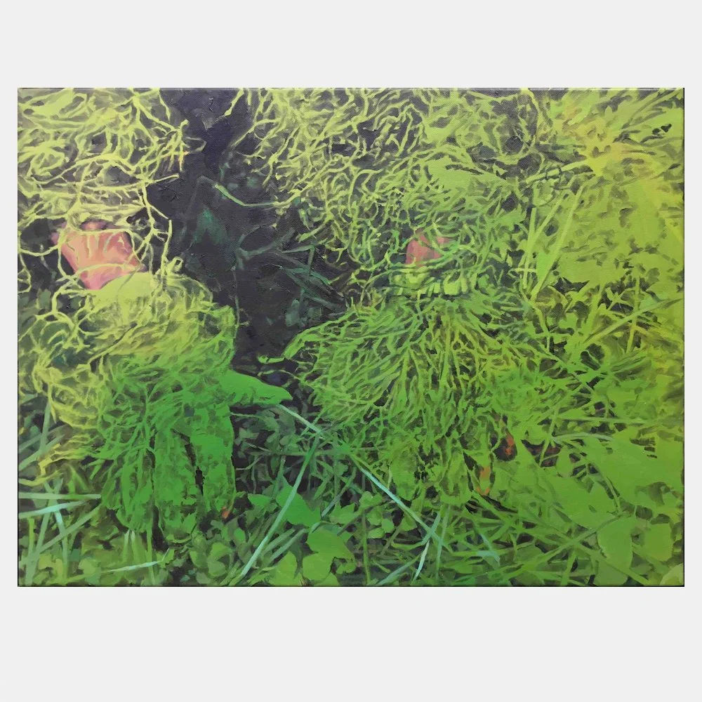 Fishpond Study