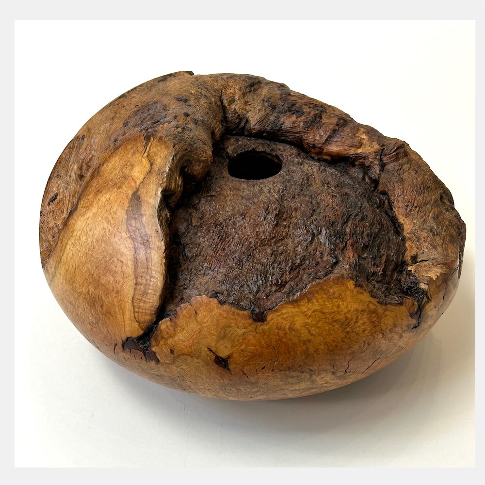 Birch Burr