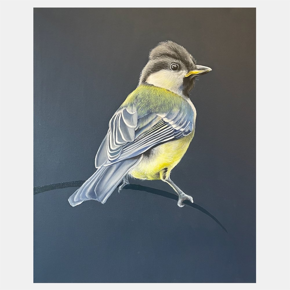 Great Tit WEB.jpeg