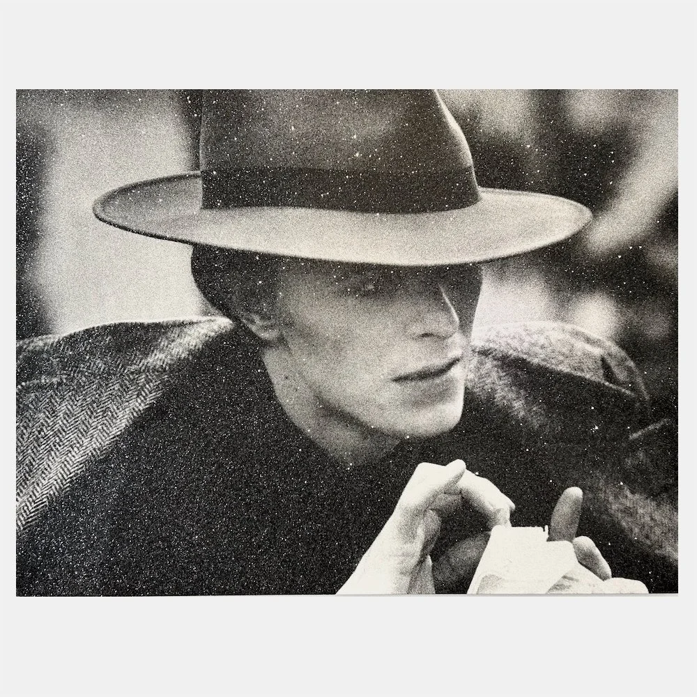 The Man Who Fell to Earth