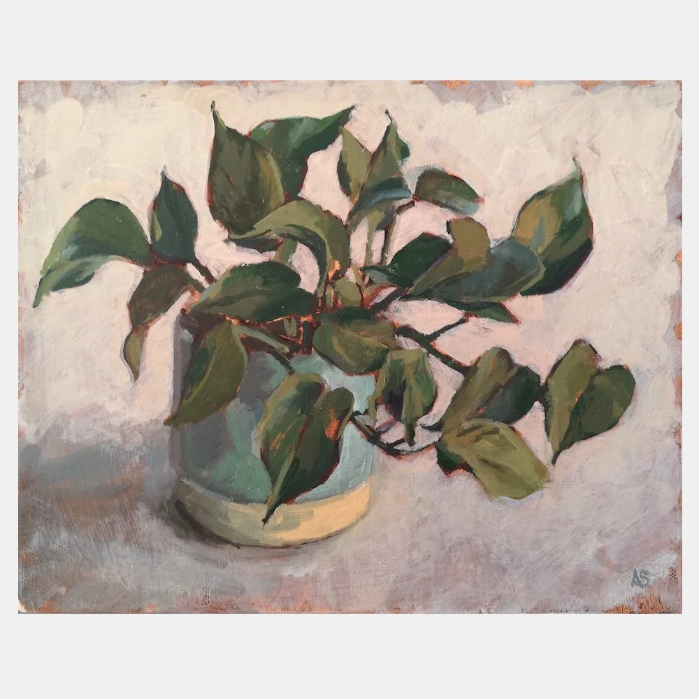 Devil's Ivy Still Life