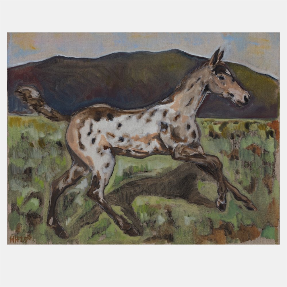 Among Sage Brush (2025)