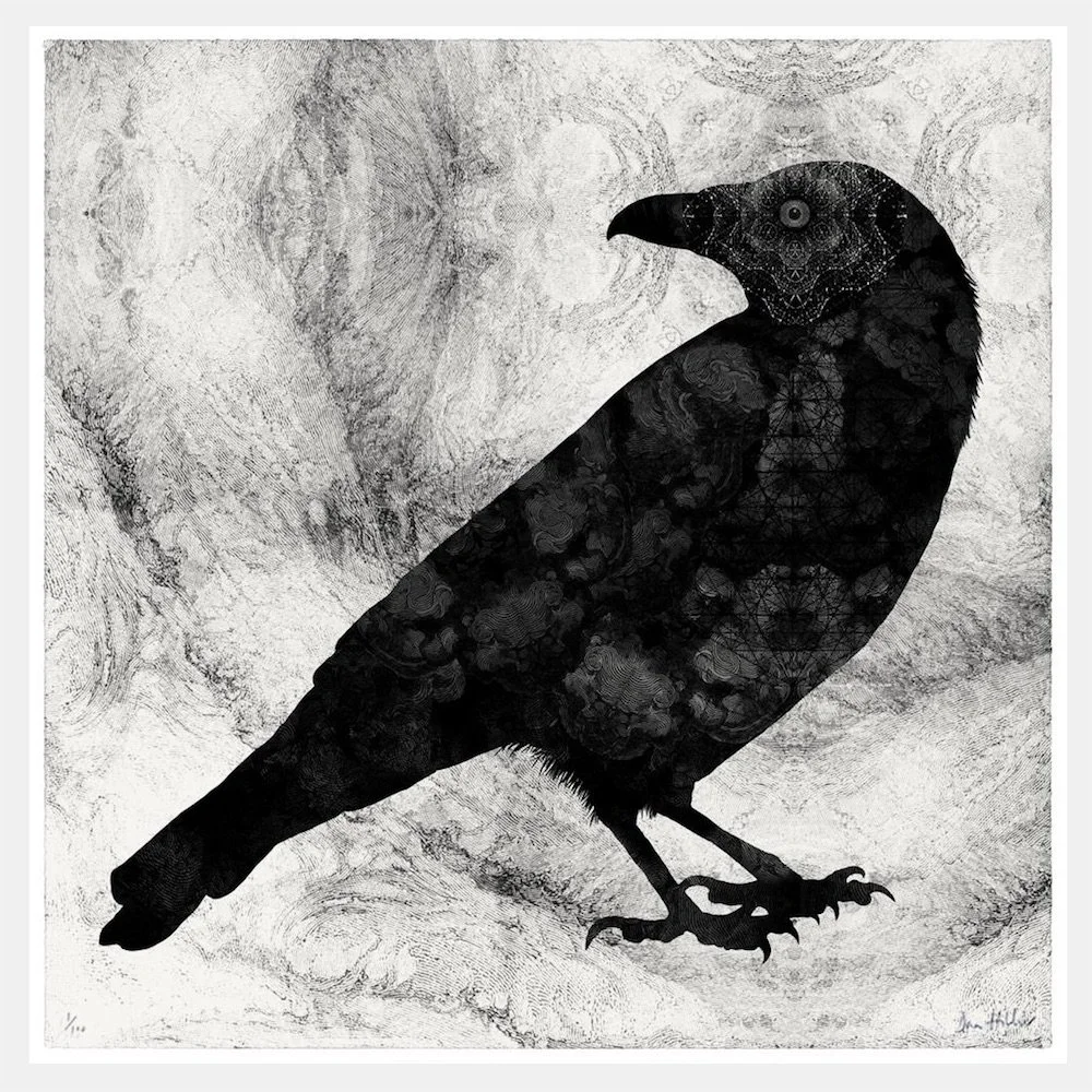 raven.jpg