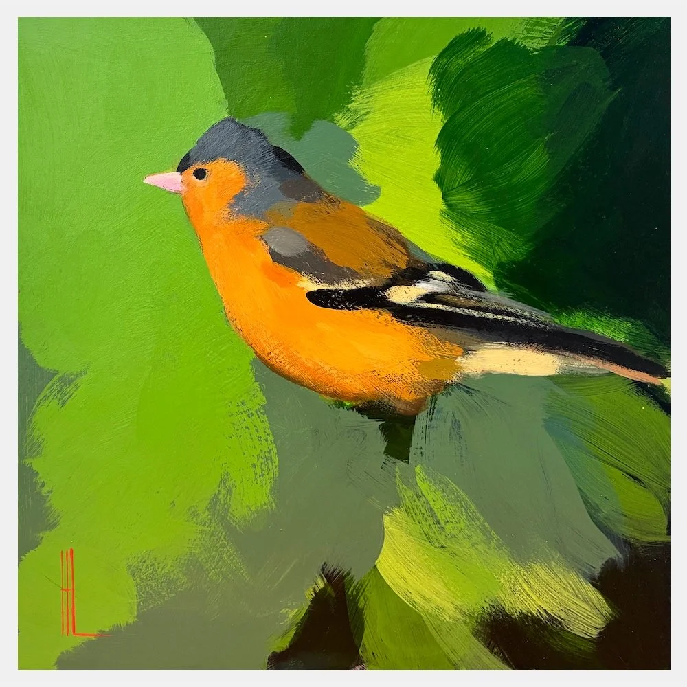 Chaffinch Sitting in Grey Greens WEB.jpg