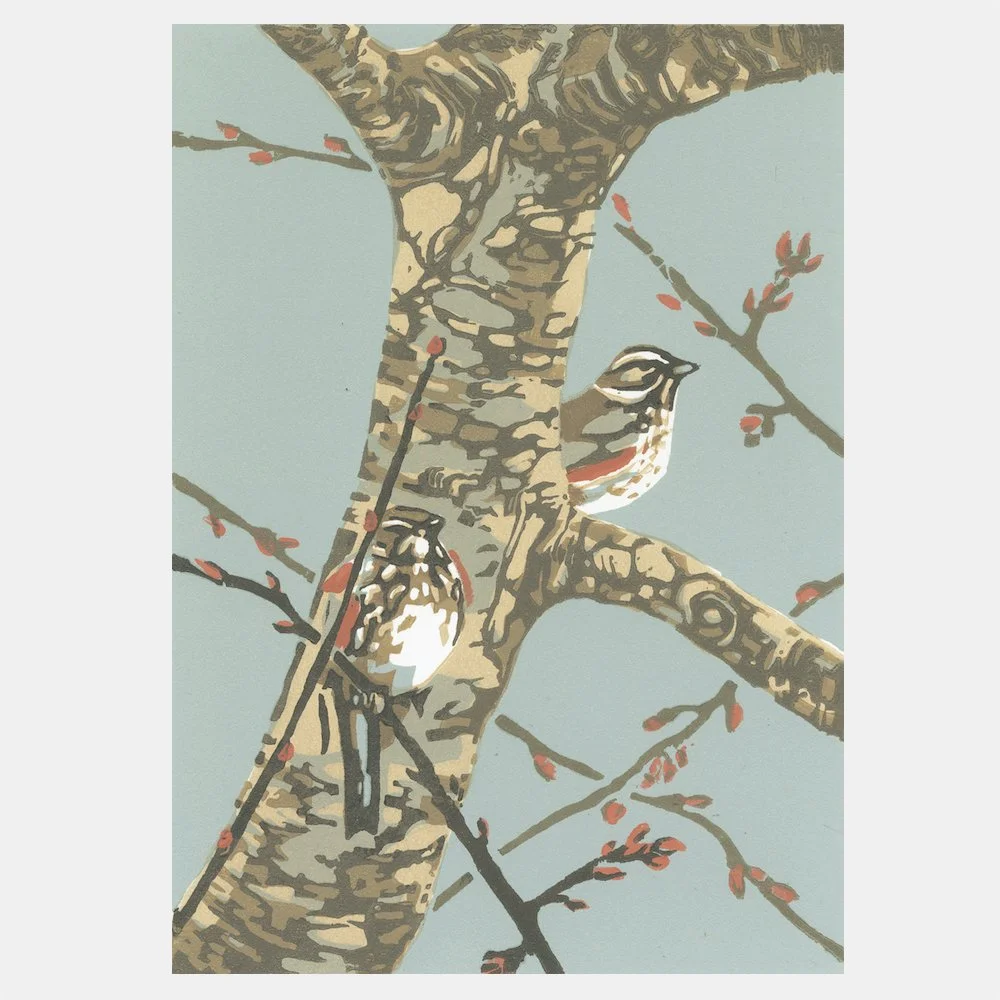 Redwings