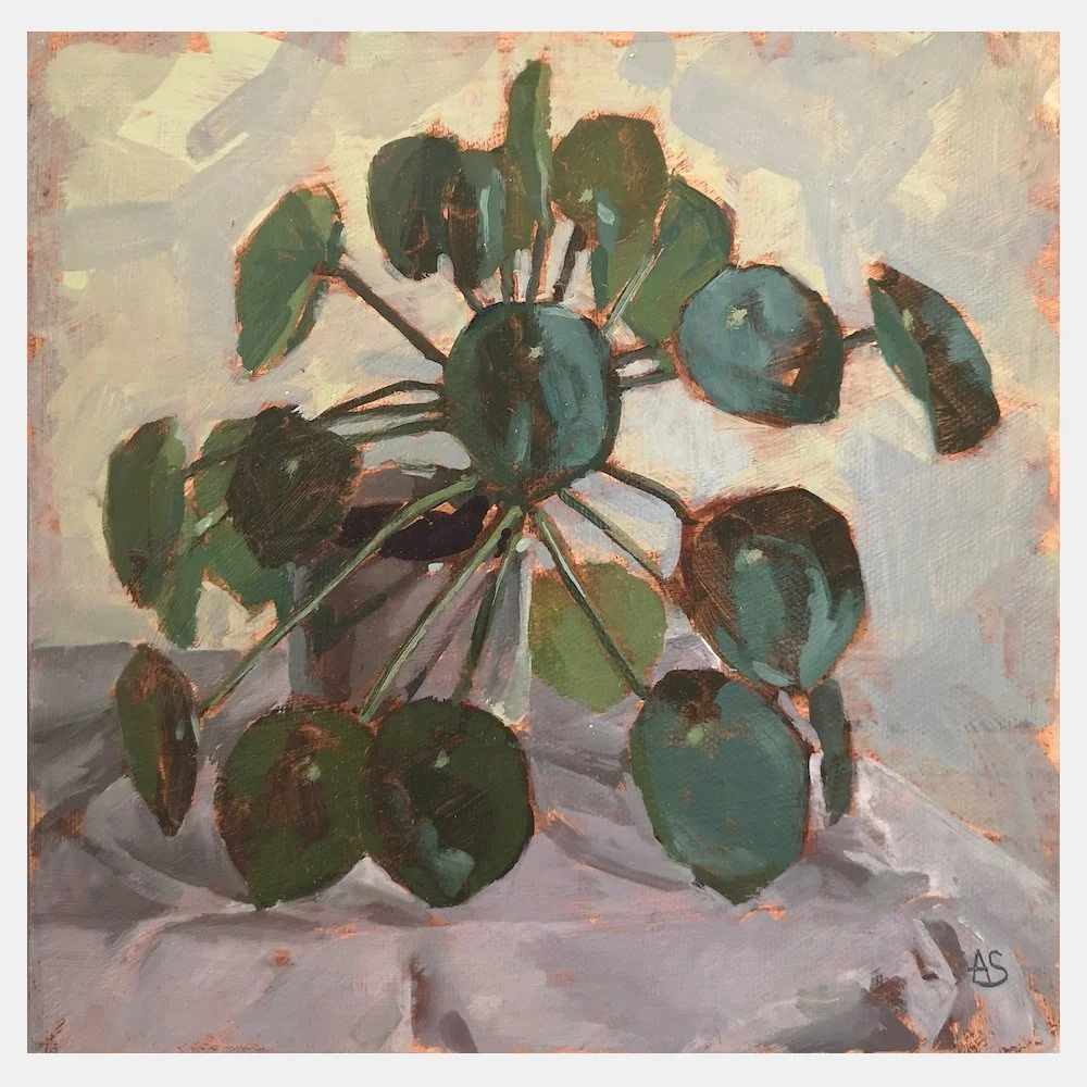Pilea Still Life