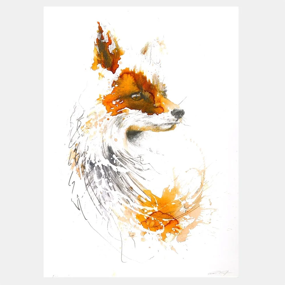 The Winter Fox
