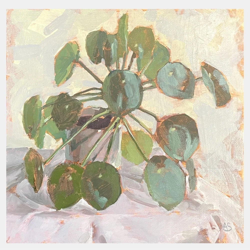 Pilea Still Life WEB.jpg