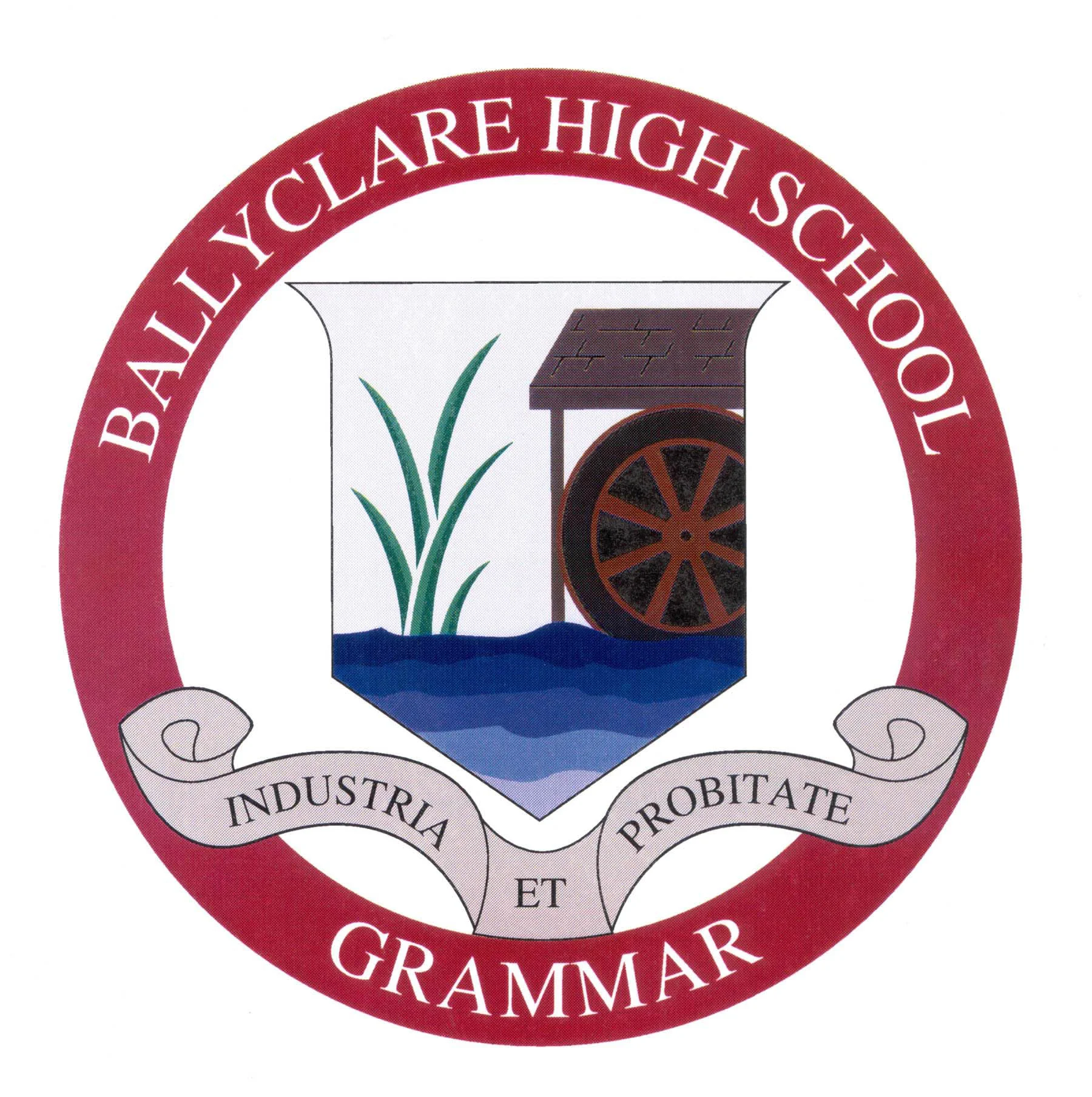 BHS school badge hi res.jpg