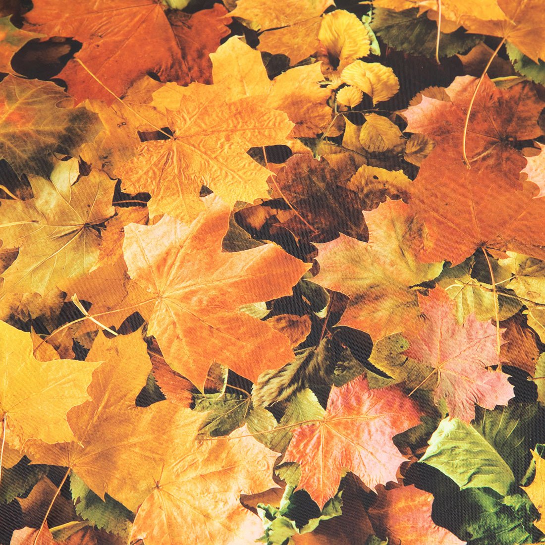 06 ED1KBGLEAVES.jpg
