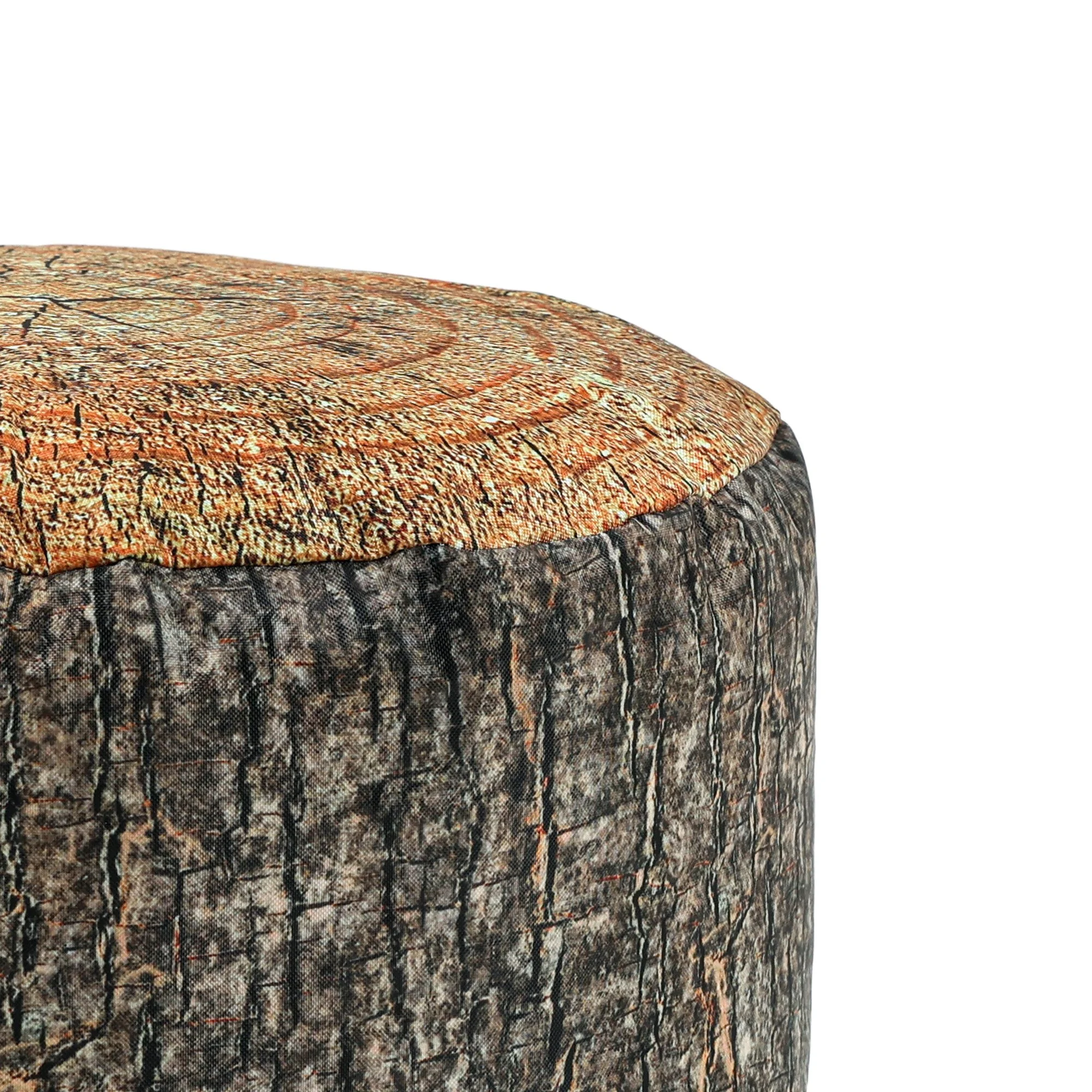 ED1FSTODTREELG_DETAIL_2000.jpg