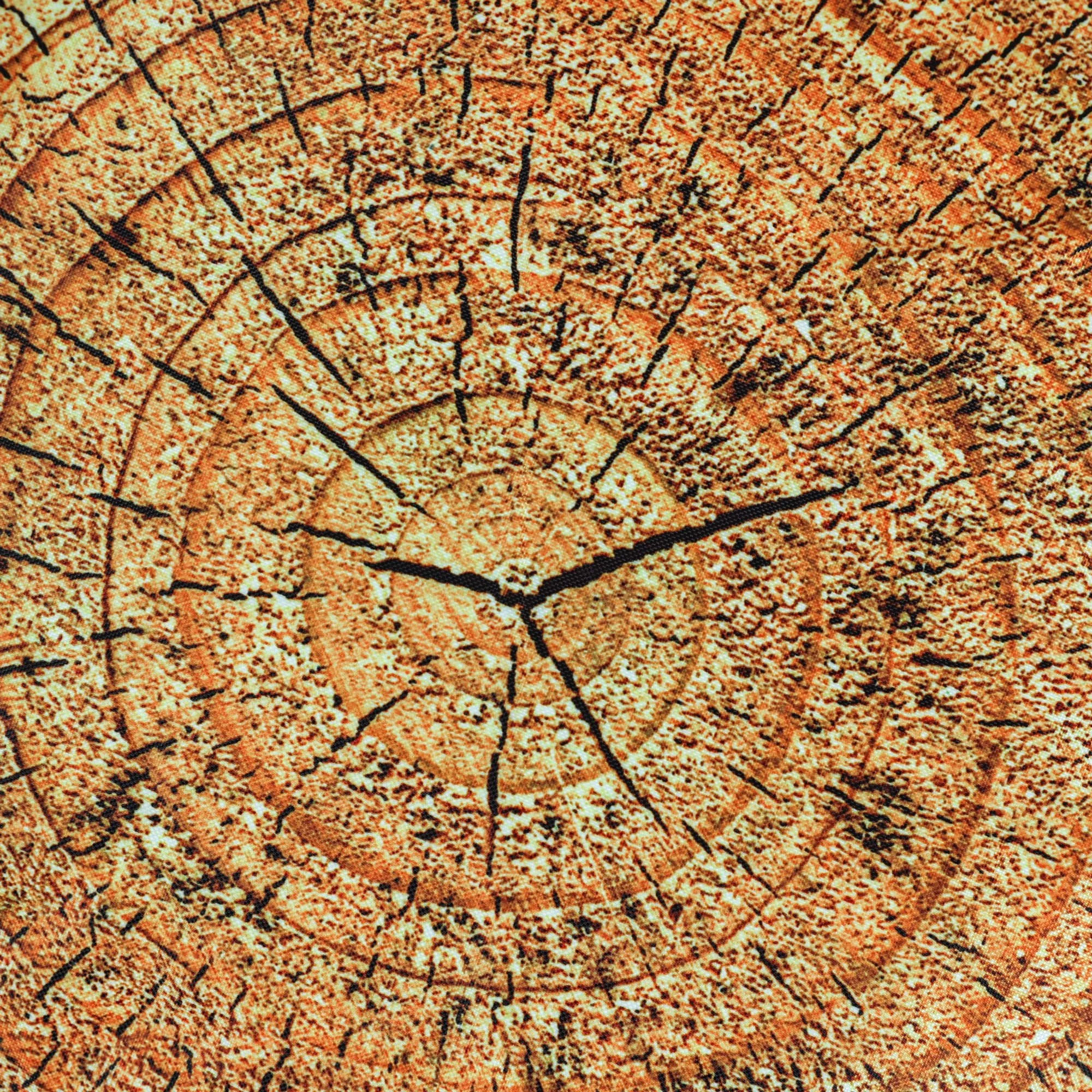 ED4BUN-TREES_SWATCH_2000.jpg