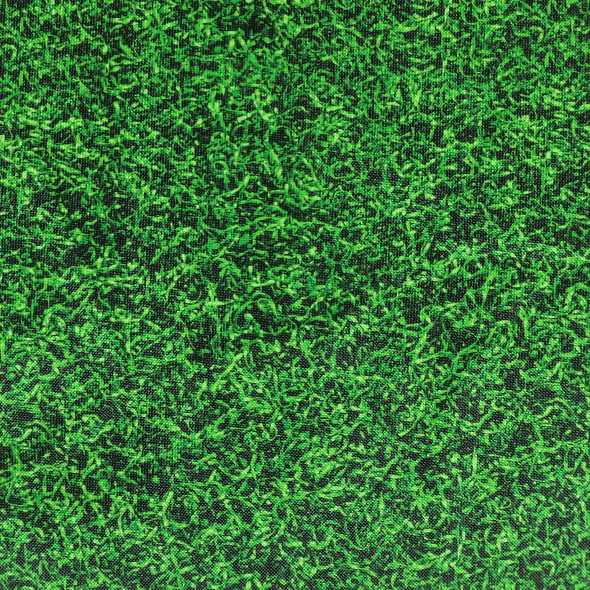 ED7WOODLAND_GRASS_SWATCH_2000.jpg