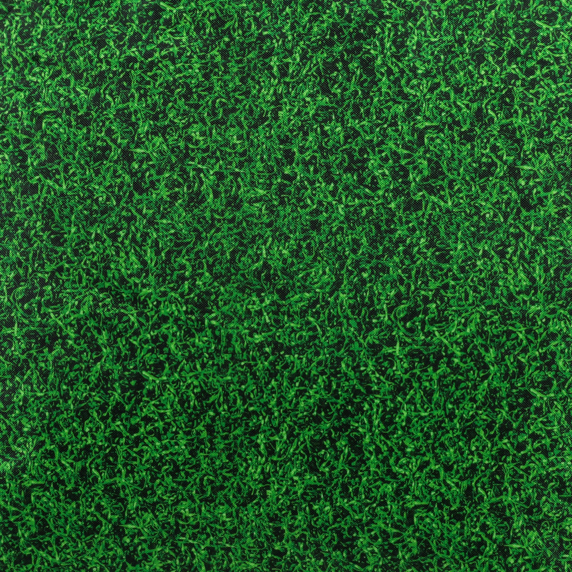 ED10CUSHMIX-NAT_GRASS_SWATCH_2000.jpg
