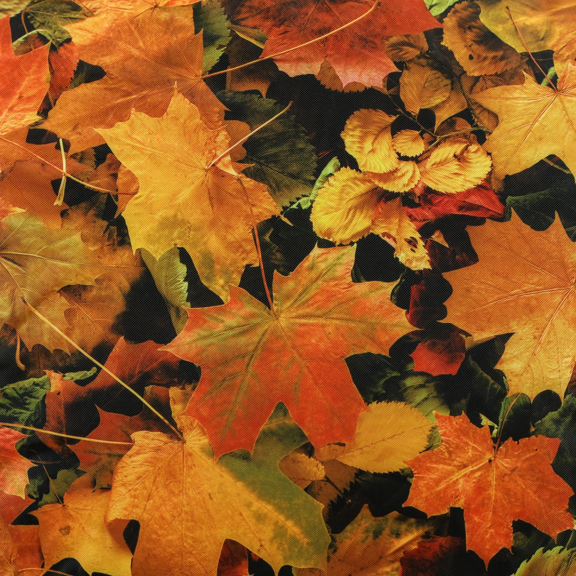 ED1KBGLEAVES_DETAIL_2000.jpg