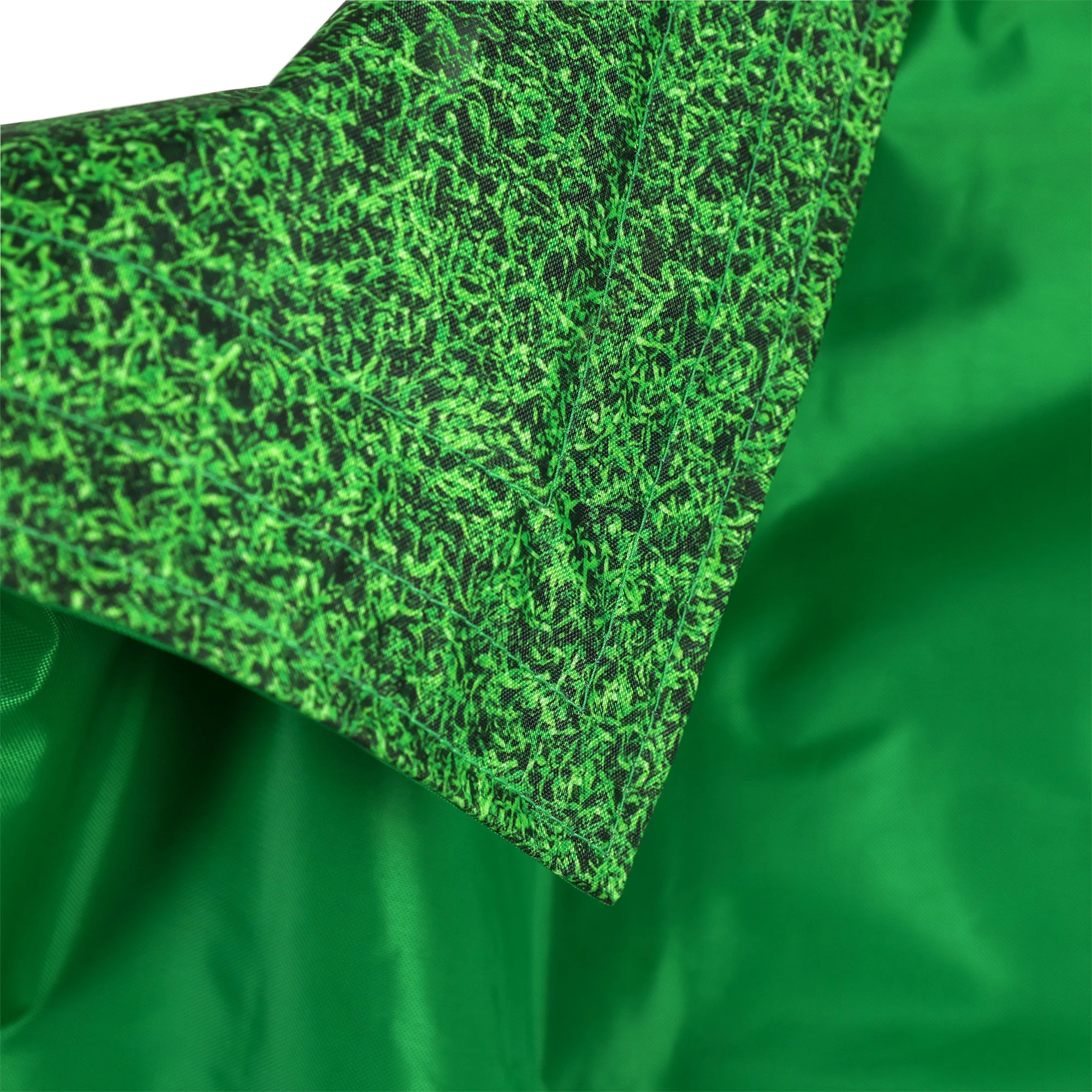 ED1KBGGRASS_DETAILA_2000.jpg
