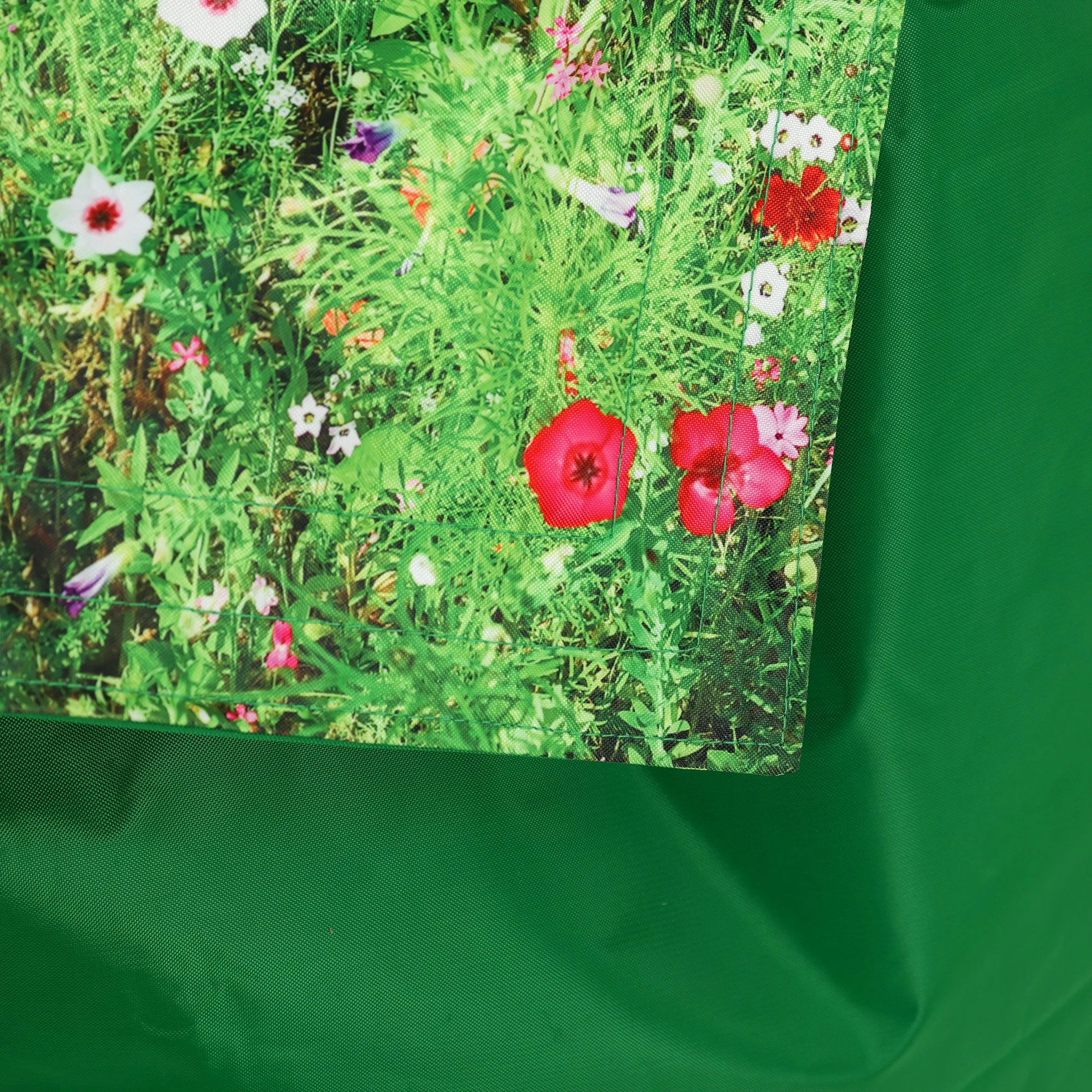 ED1KBGMEADOW_DETAILA_2000.jpg