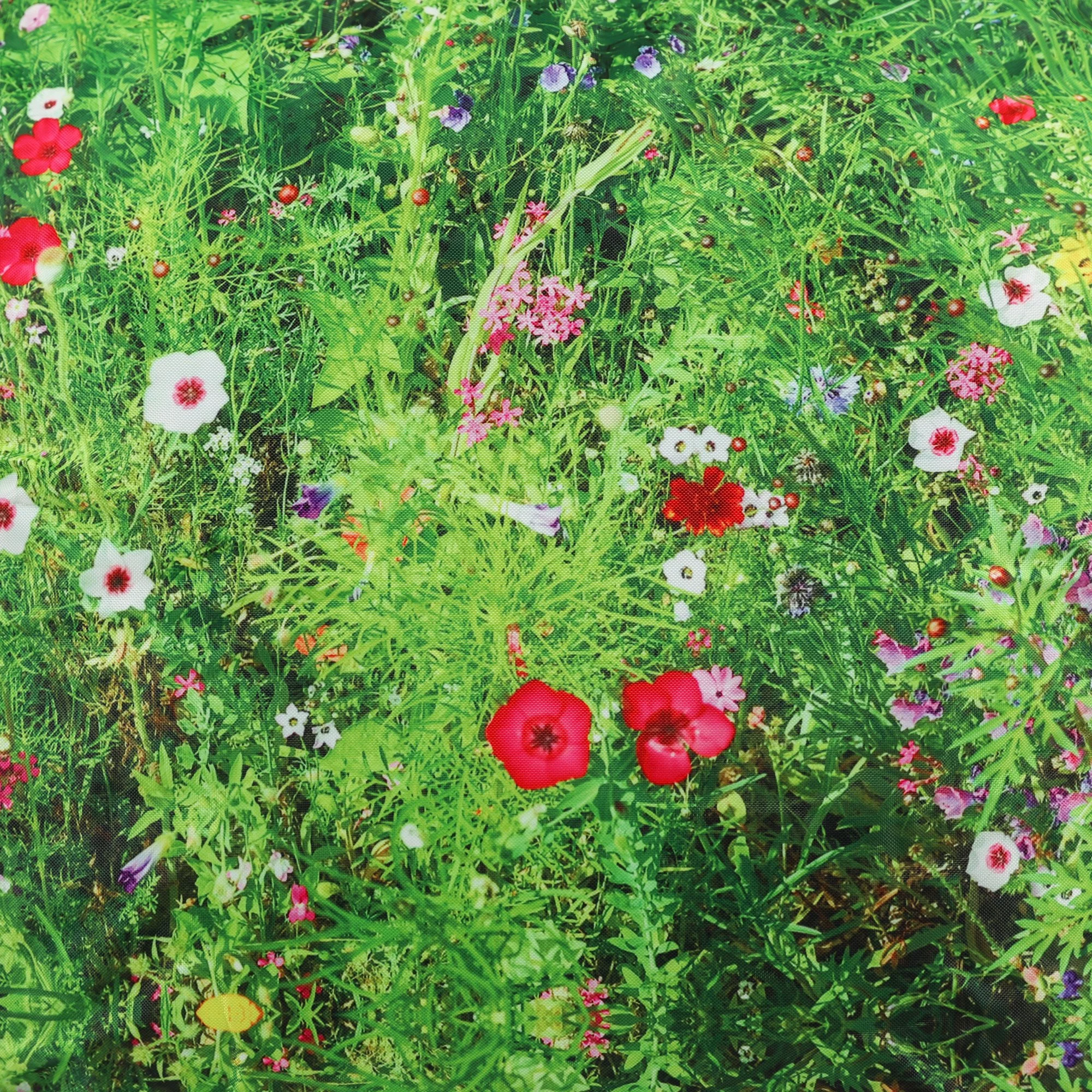 ED1KBGMEADOW_SWATCH_2000.jpg