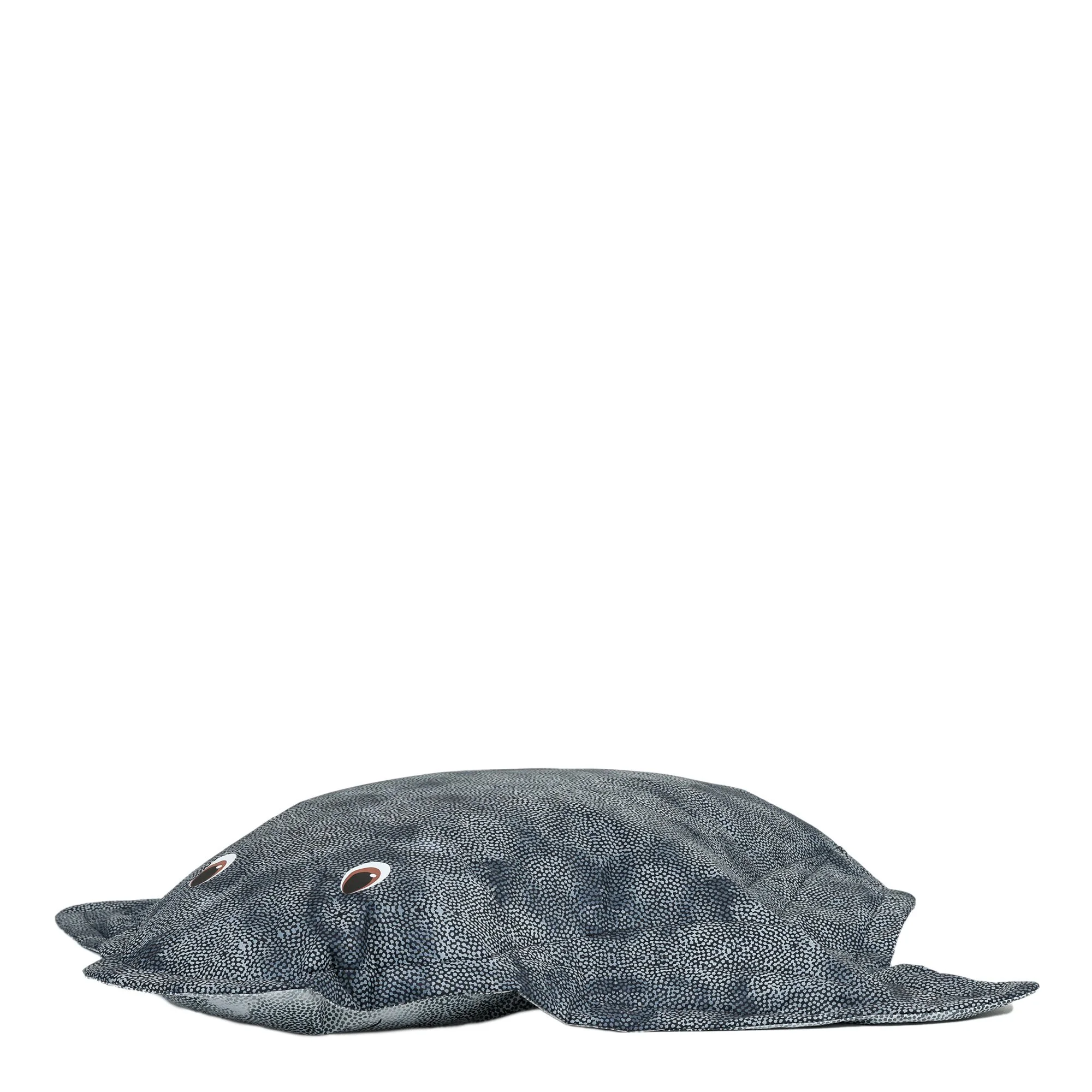 ED1STINGRAY_FRONTB_2000.jpg