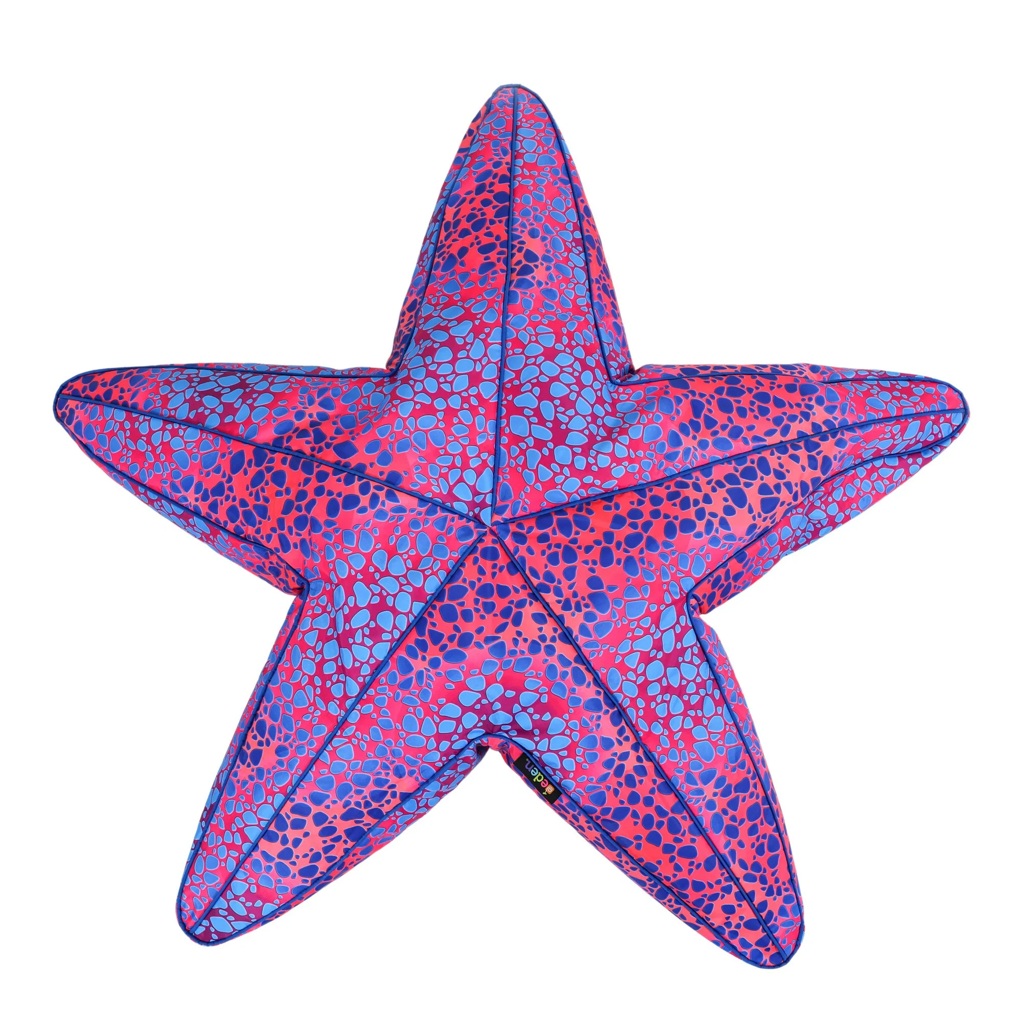 ED1STARFISH_FRONTB_2000.jpg