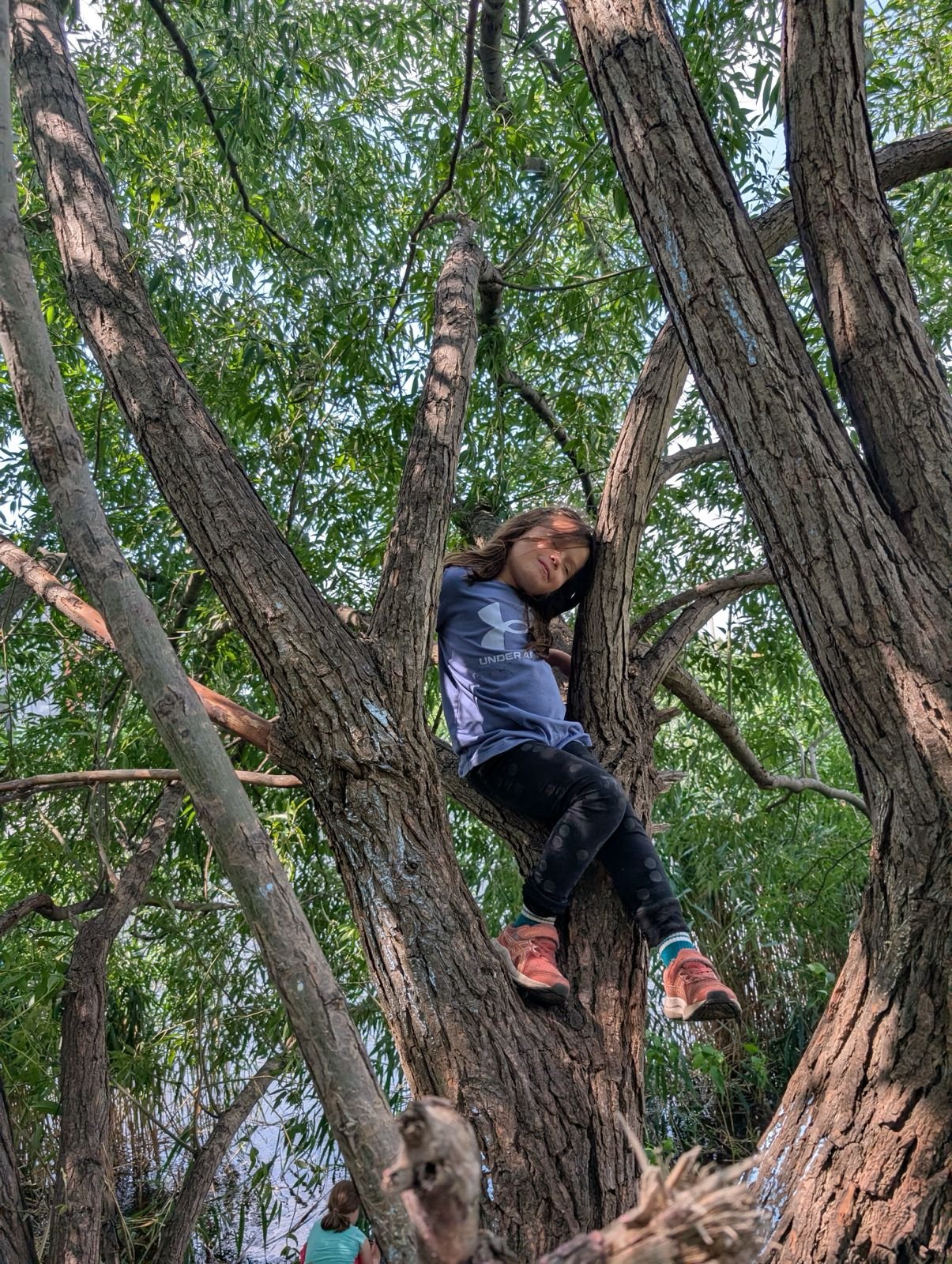 camp de jour Raconte-moi une forêt été 2025