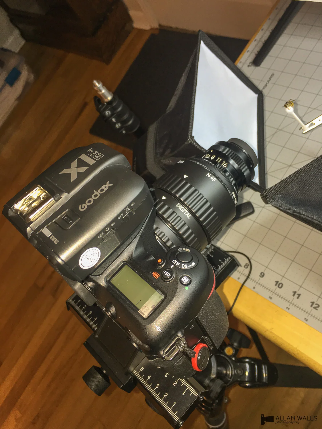 Extreme macro photography on a budget - Part 1 - The equipment — Allan ...