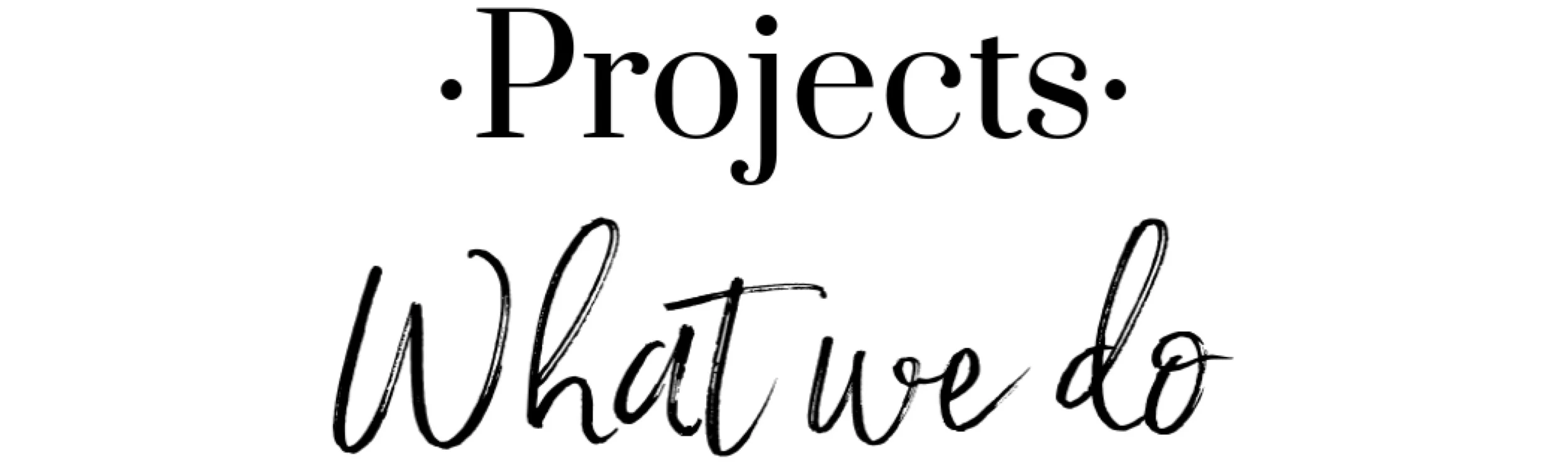 WHAT+WE+DO.jpg