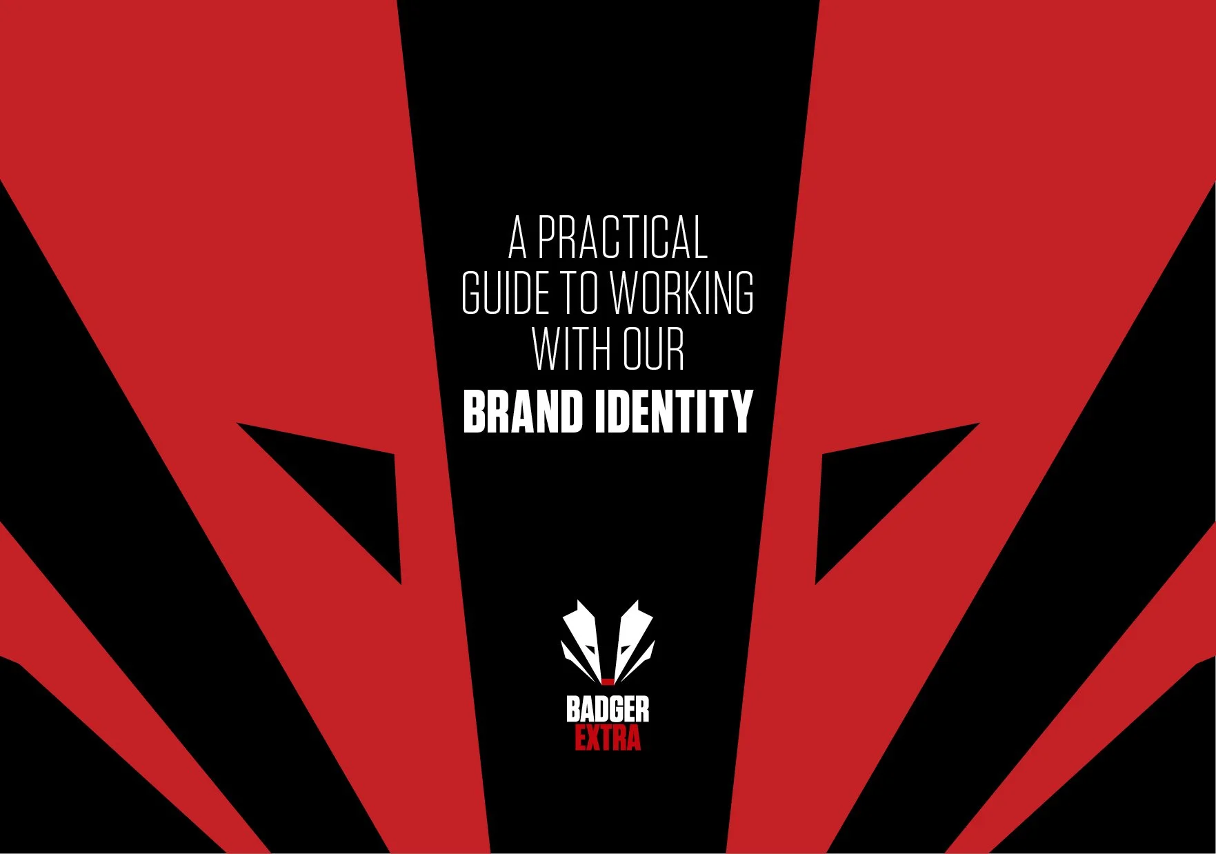 Badger Extra Brand Style Guide_FIN2.jpg