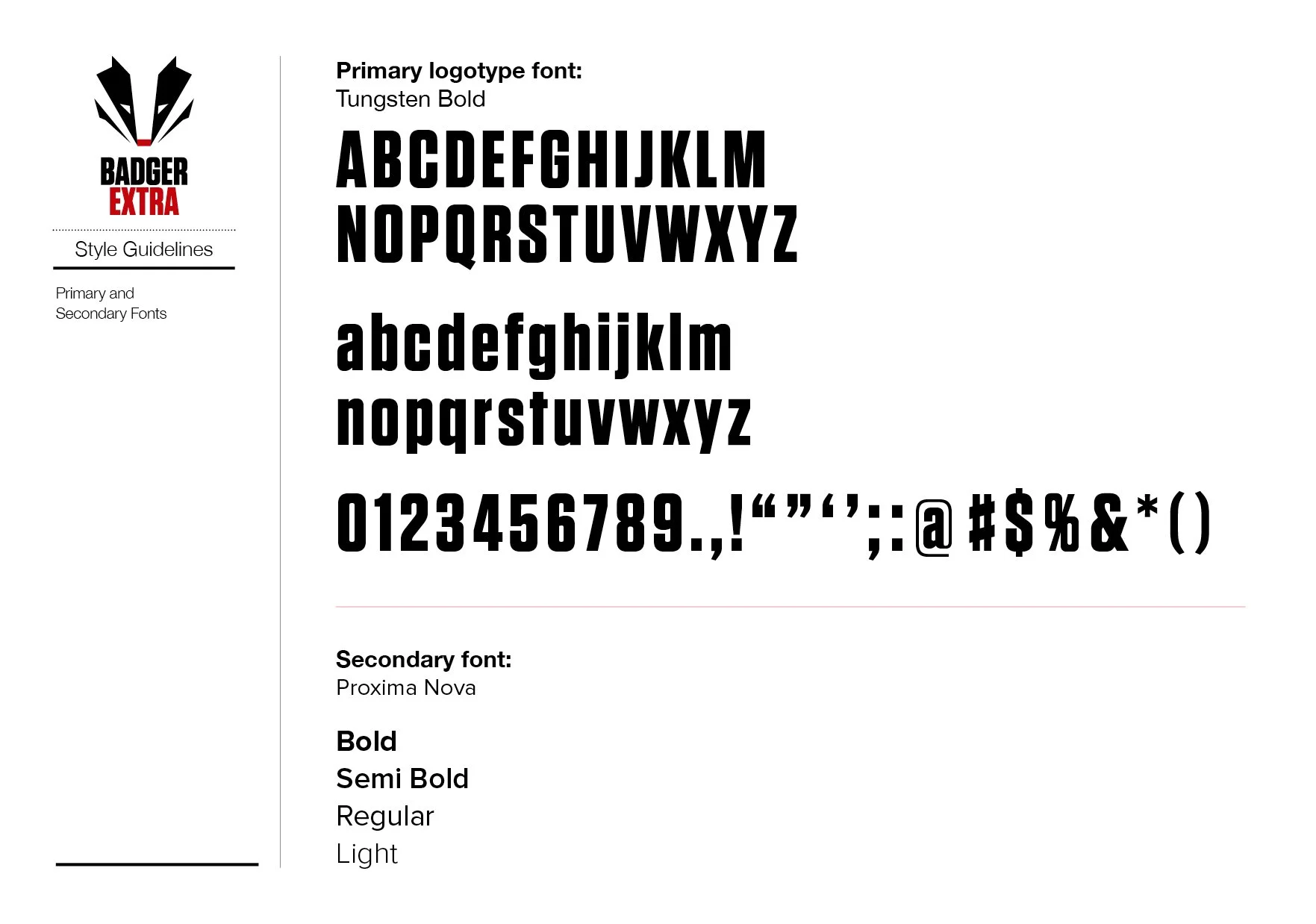 Badger Extra Brand Style Guide_FIN5.jpg