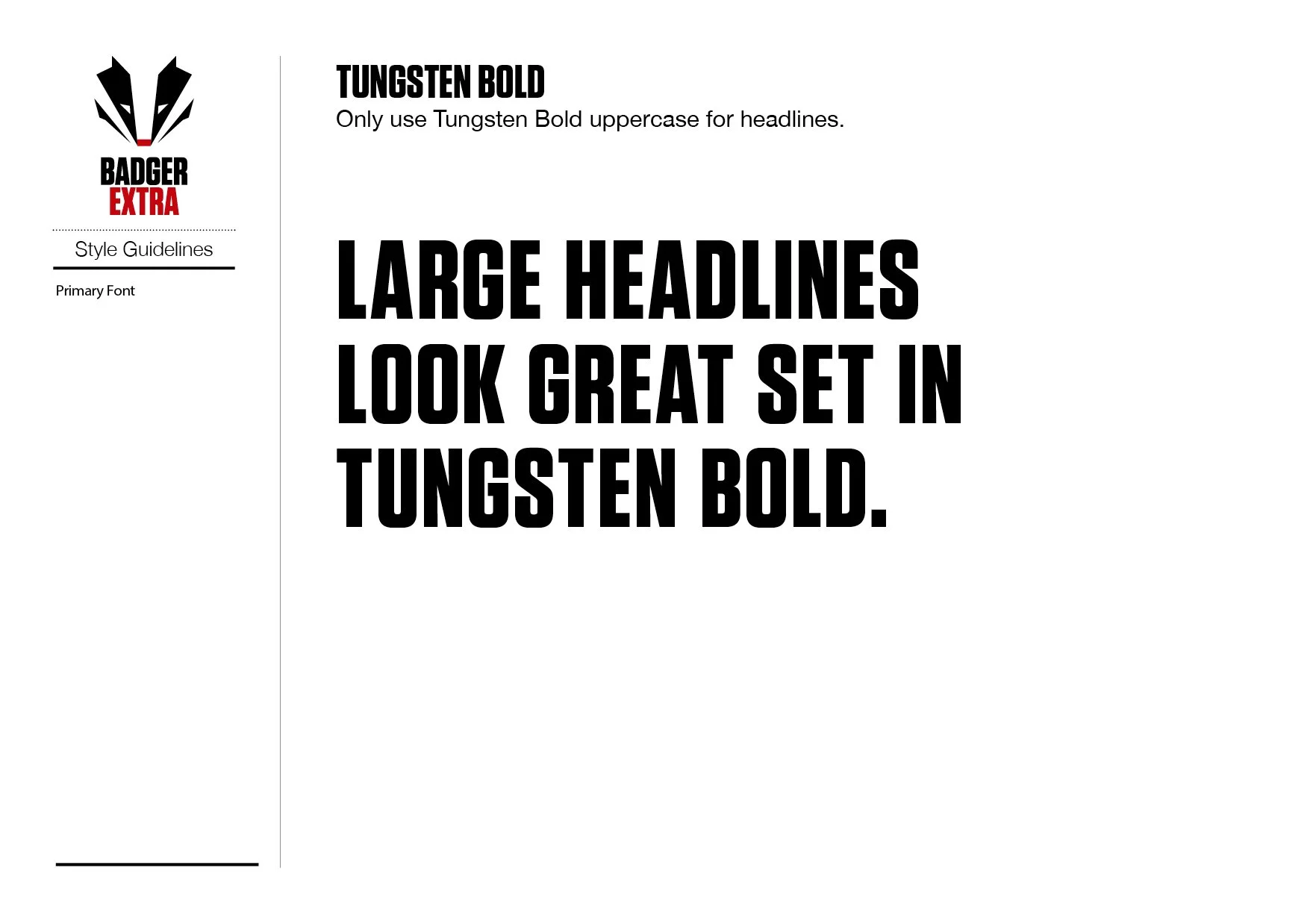 Badger Extra Brand Style Guide_FIN6.jpg