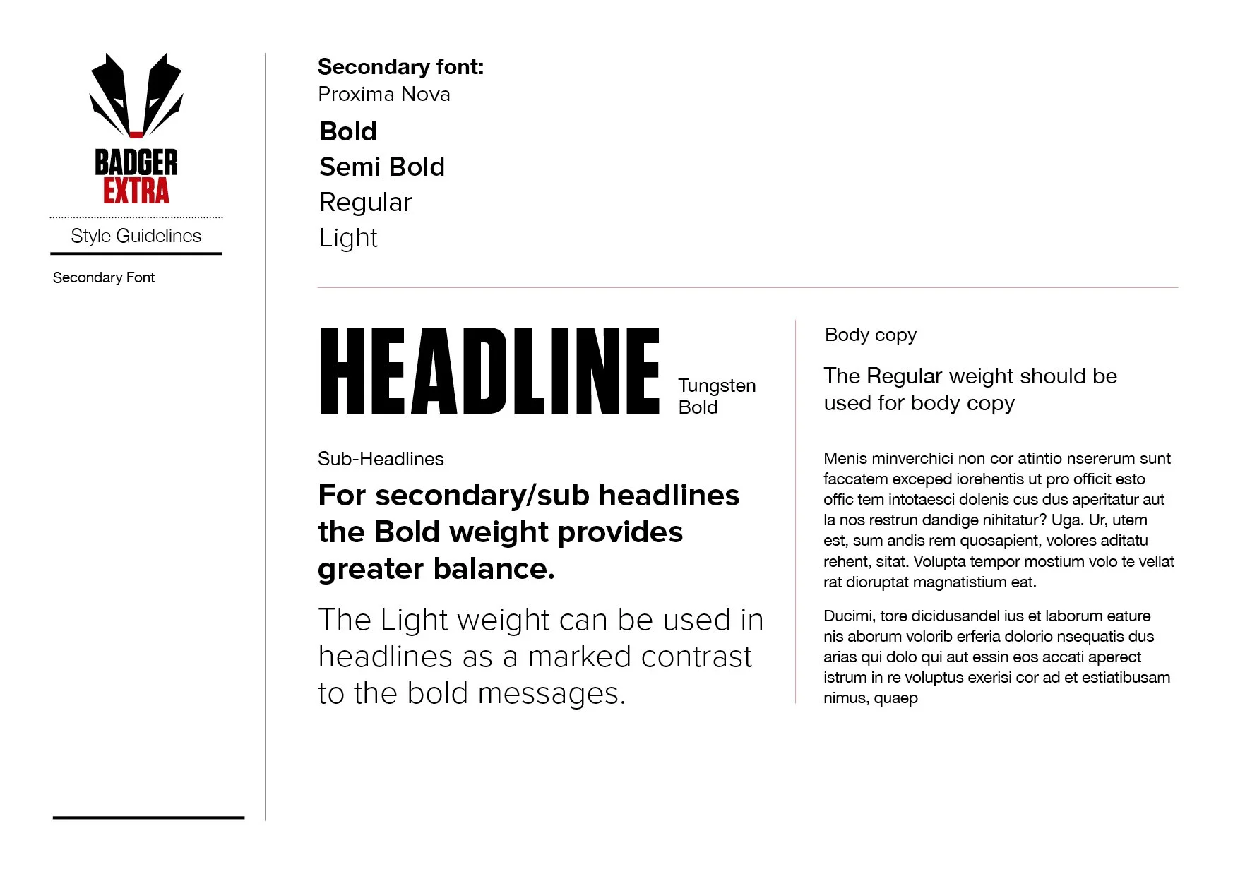 Badger Extra Brand Style Guide_FIN7.jpg