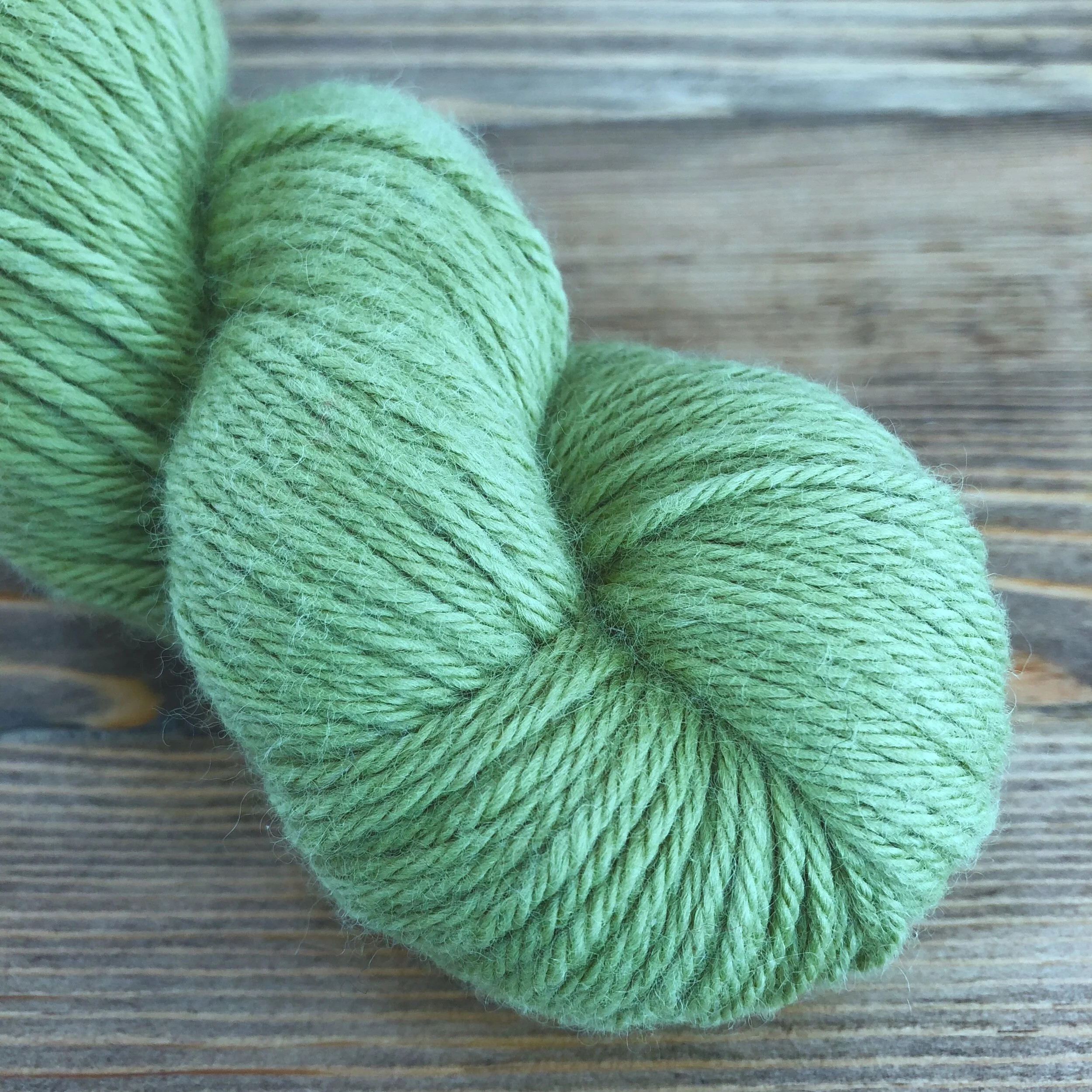 Mountain Spring.jpeg