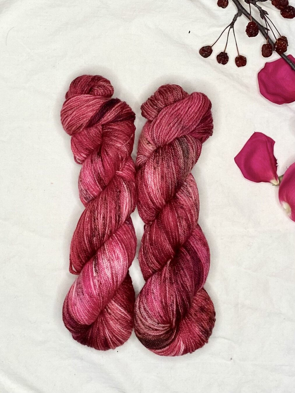 23FCDFED-AD5D-4F72-AE24-7EAA534134E3