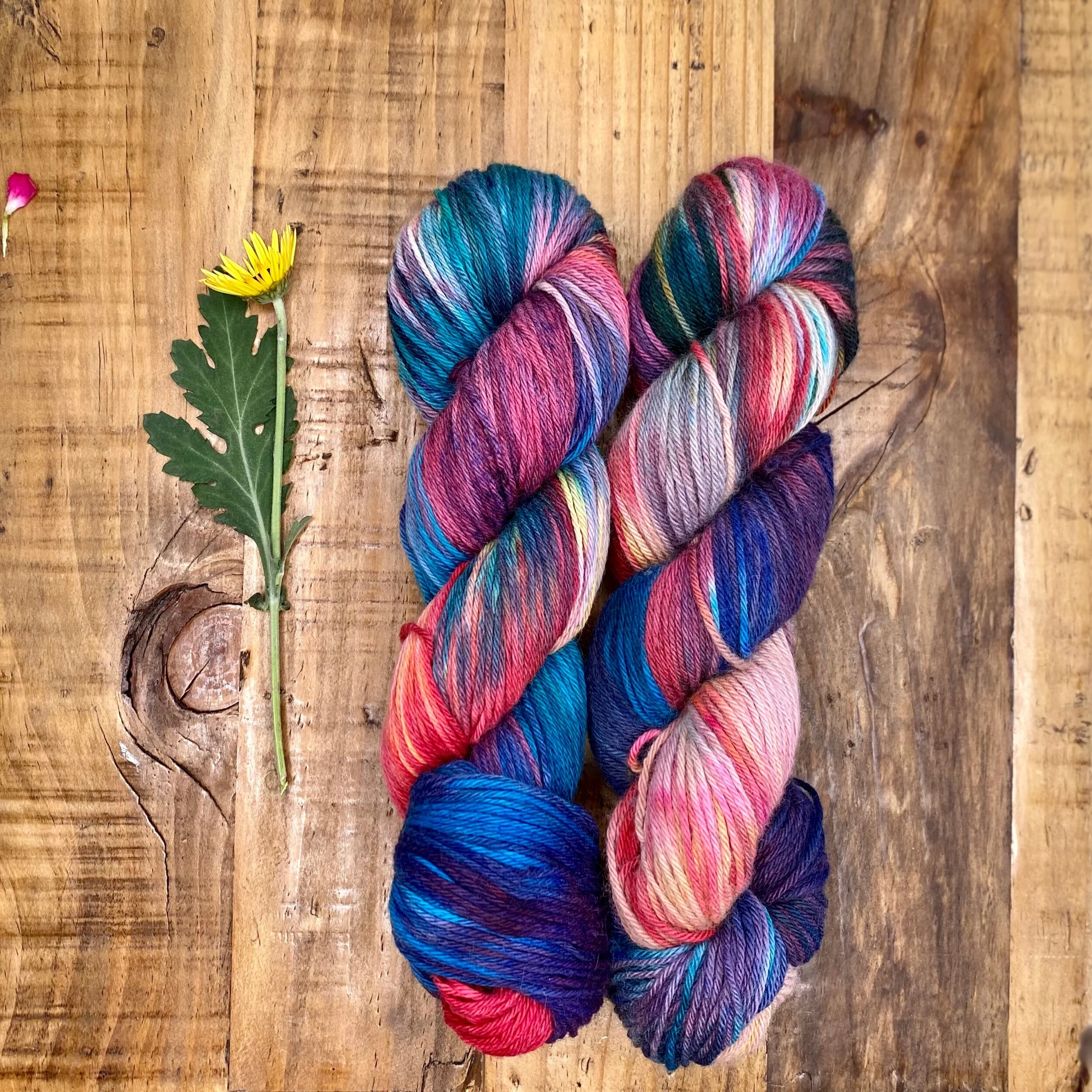 D2F3F82E-3722-4E04-921F-76193C183112