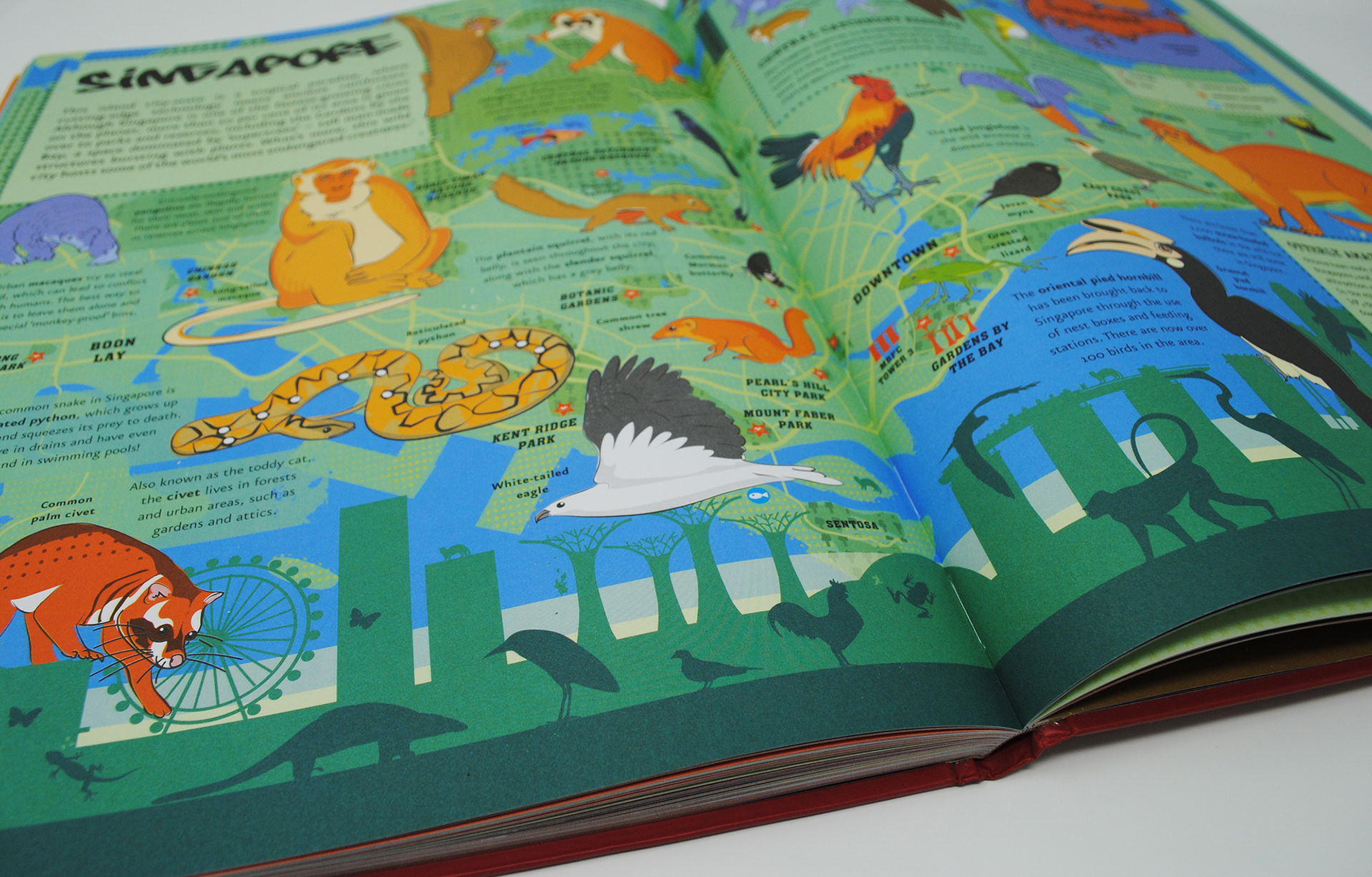 Singapore and all the animals found in this Asia city. Otters live right in the heart of the city!