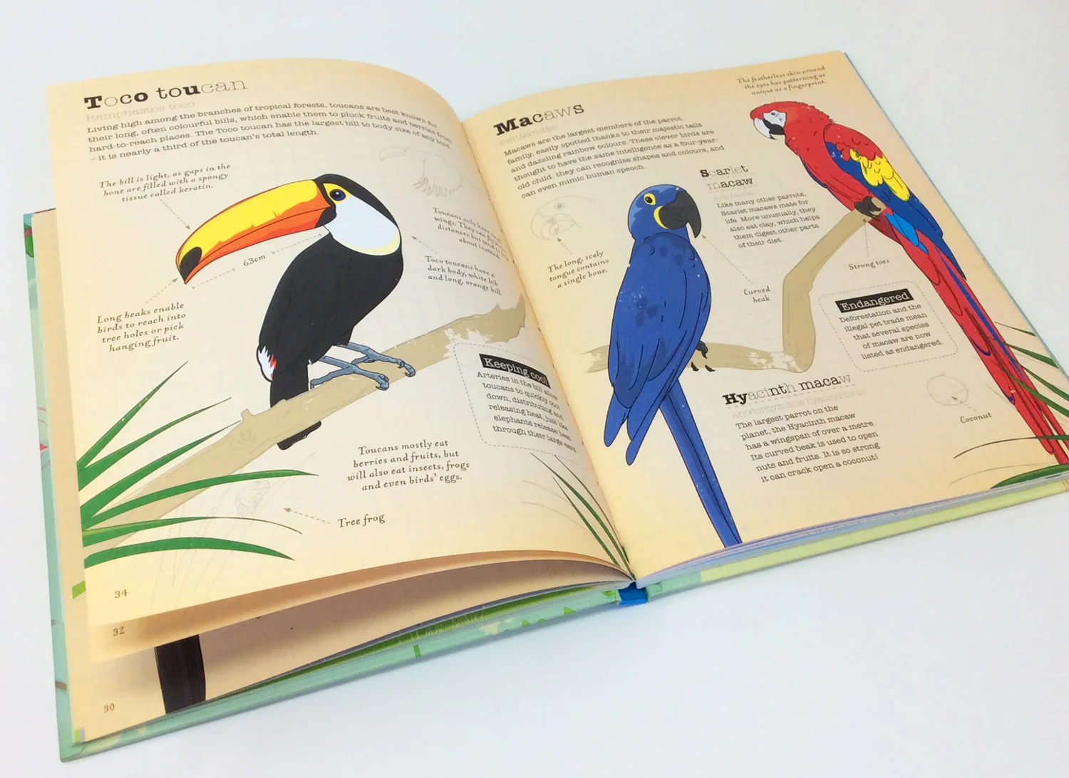 The book came out beautifully in print.