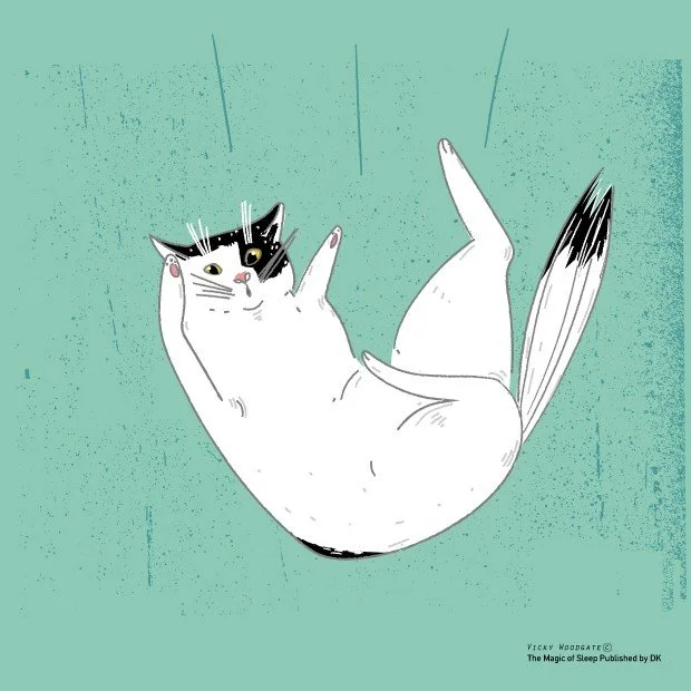 Junior Magazine article - What do your kids dreams mean?