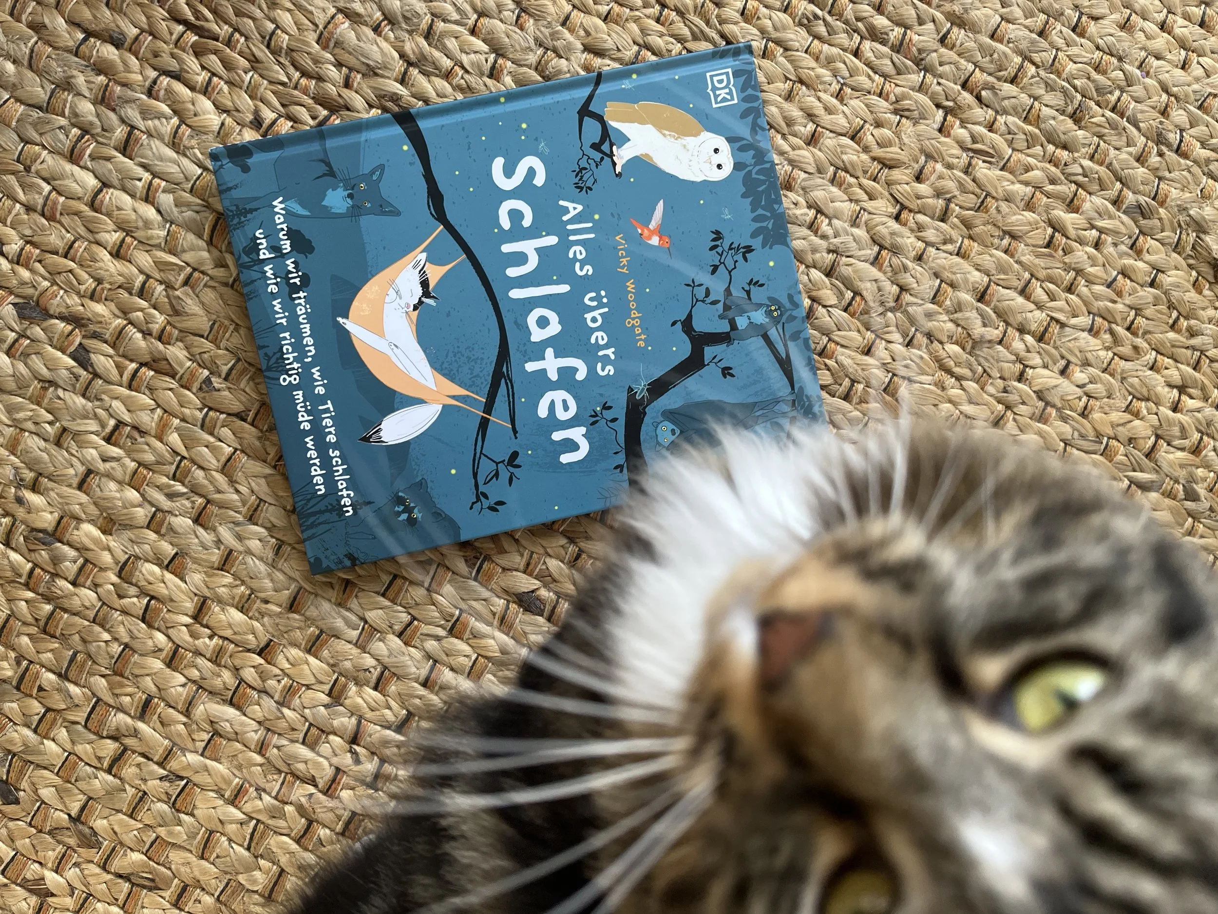 Sleep is published in Germany 