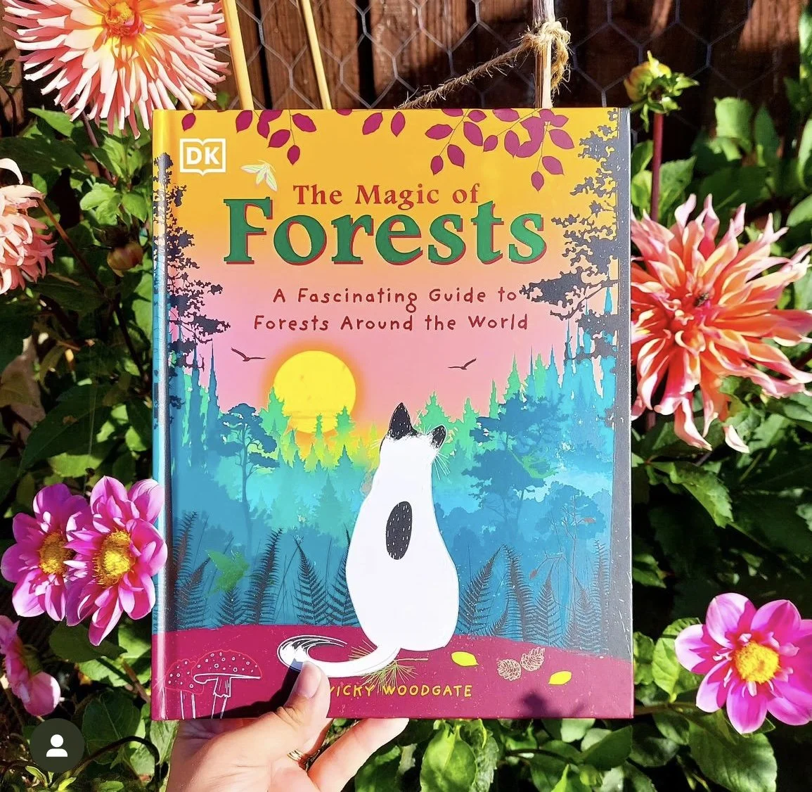 Reviews The Magic of Forests