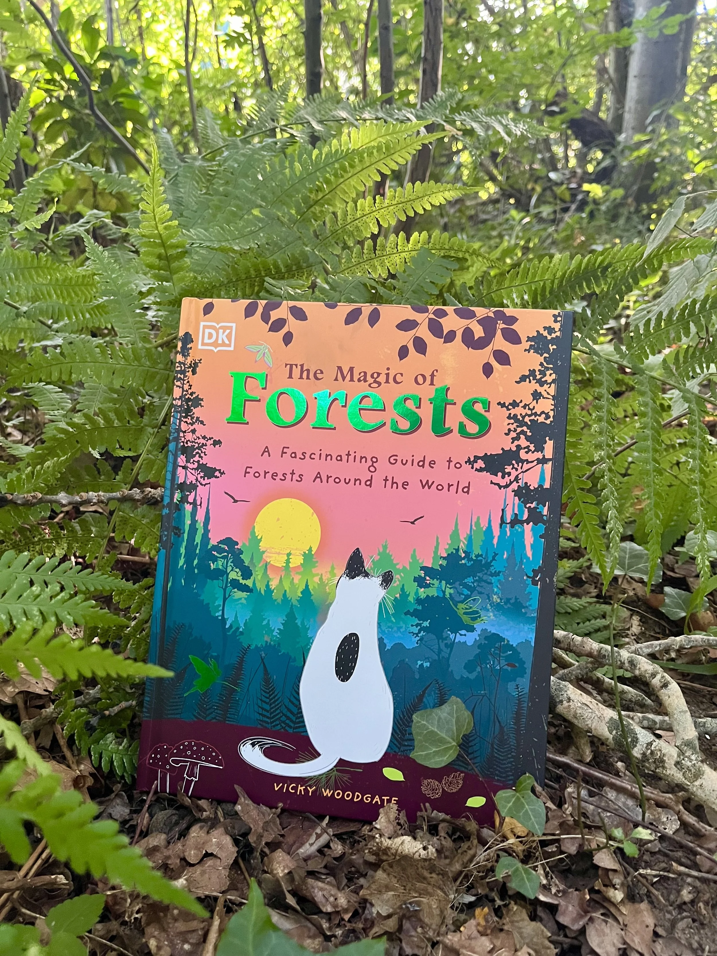 Out in North America!