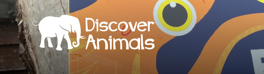 BOOK on the BIRD Table - Article