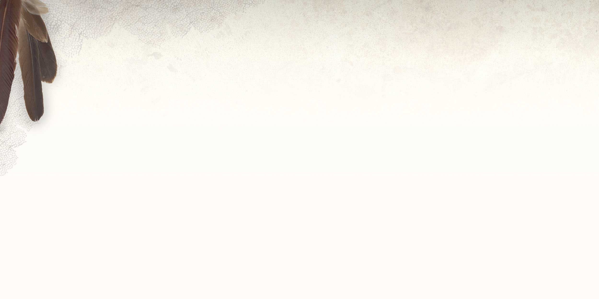 Banner_welcome_4a-2.jpg