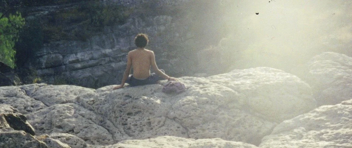 Alan small Sham WS SMA copy.jpeg