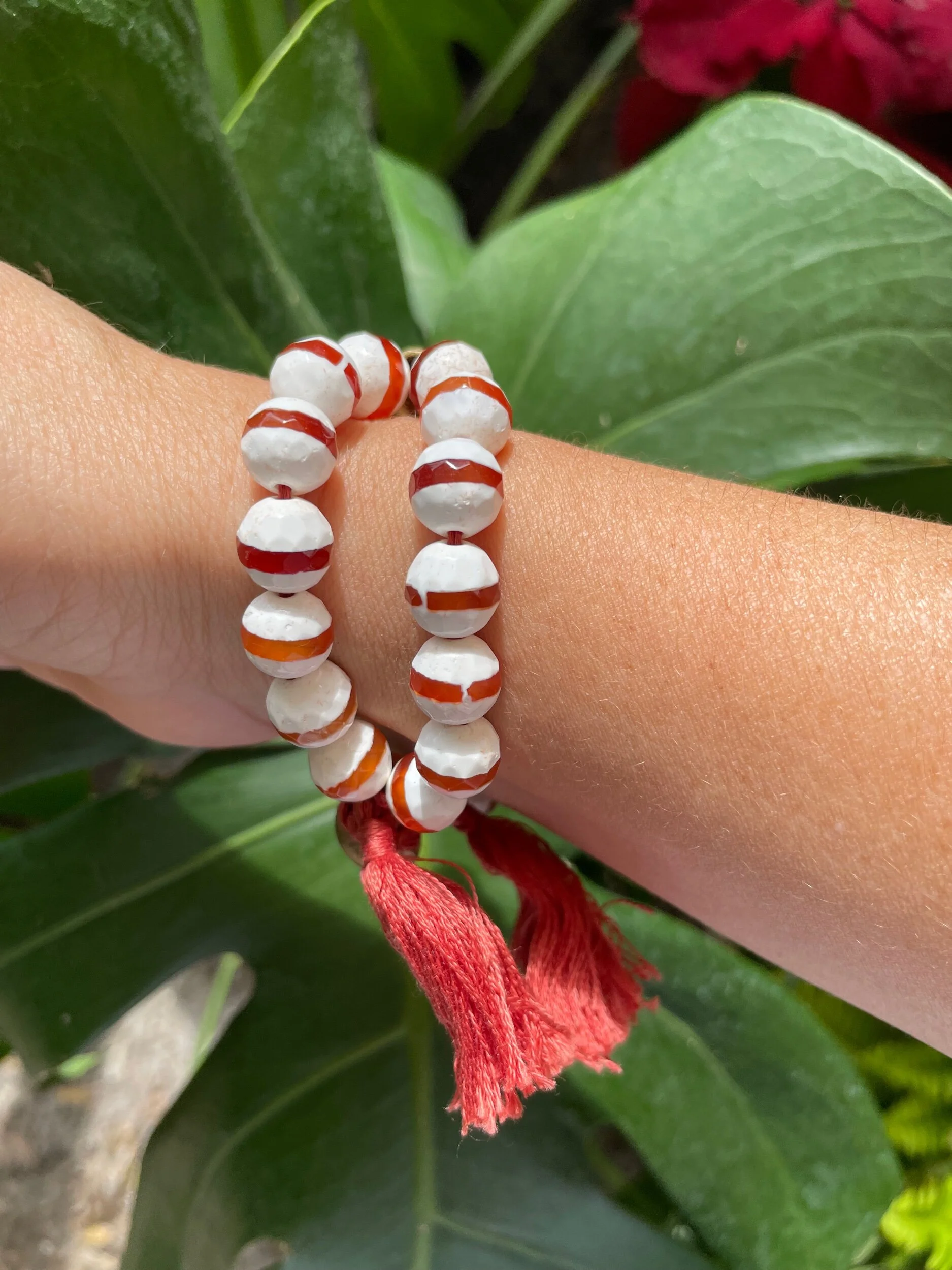 6E6FE57D-4EFE-4961-9801-5A6B61A07095