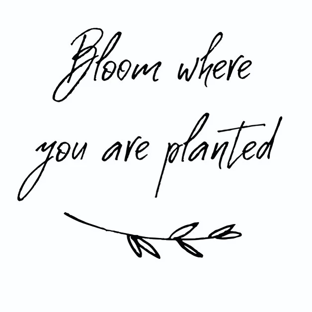 A little reminder (to myself &amp; anyone who needs it) to appreciate where you are right now and do your best in your present situation. I&rsquo;m suffering from constant wanderlust and I&rsquo;m always ready to do something new or move somewhere el