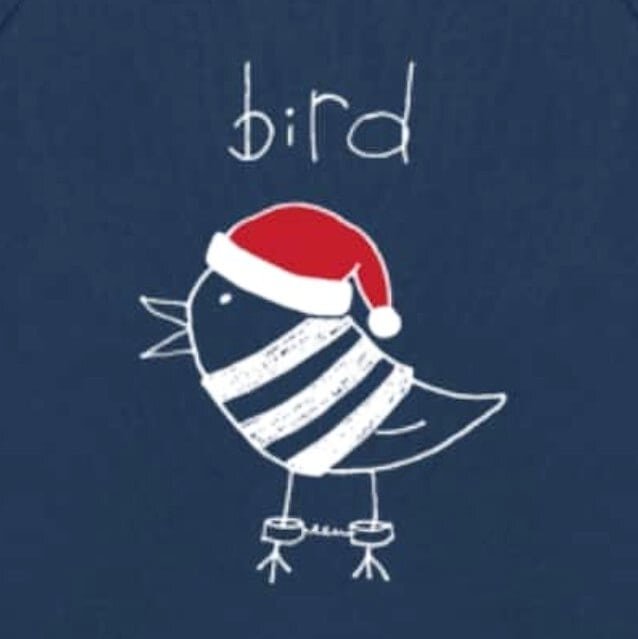 Wishing everyone a Merry Christmas and a Happy New year from us at Bird HQ. Thinking of all those who can't be with their families at this time of year.  2019 has been a great year for us, looking forward to seeing what 2020 brings! 
#newyear #2020 #